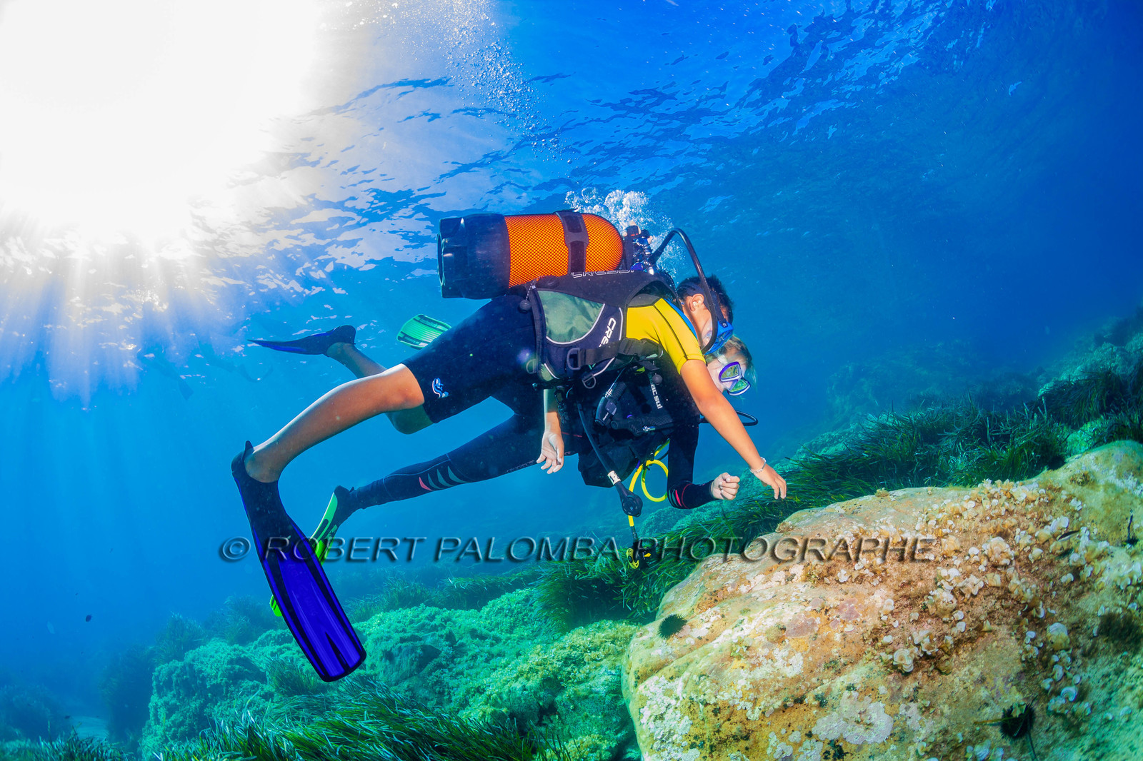 Plongée-sous-marine