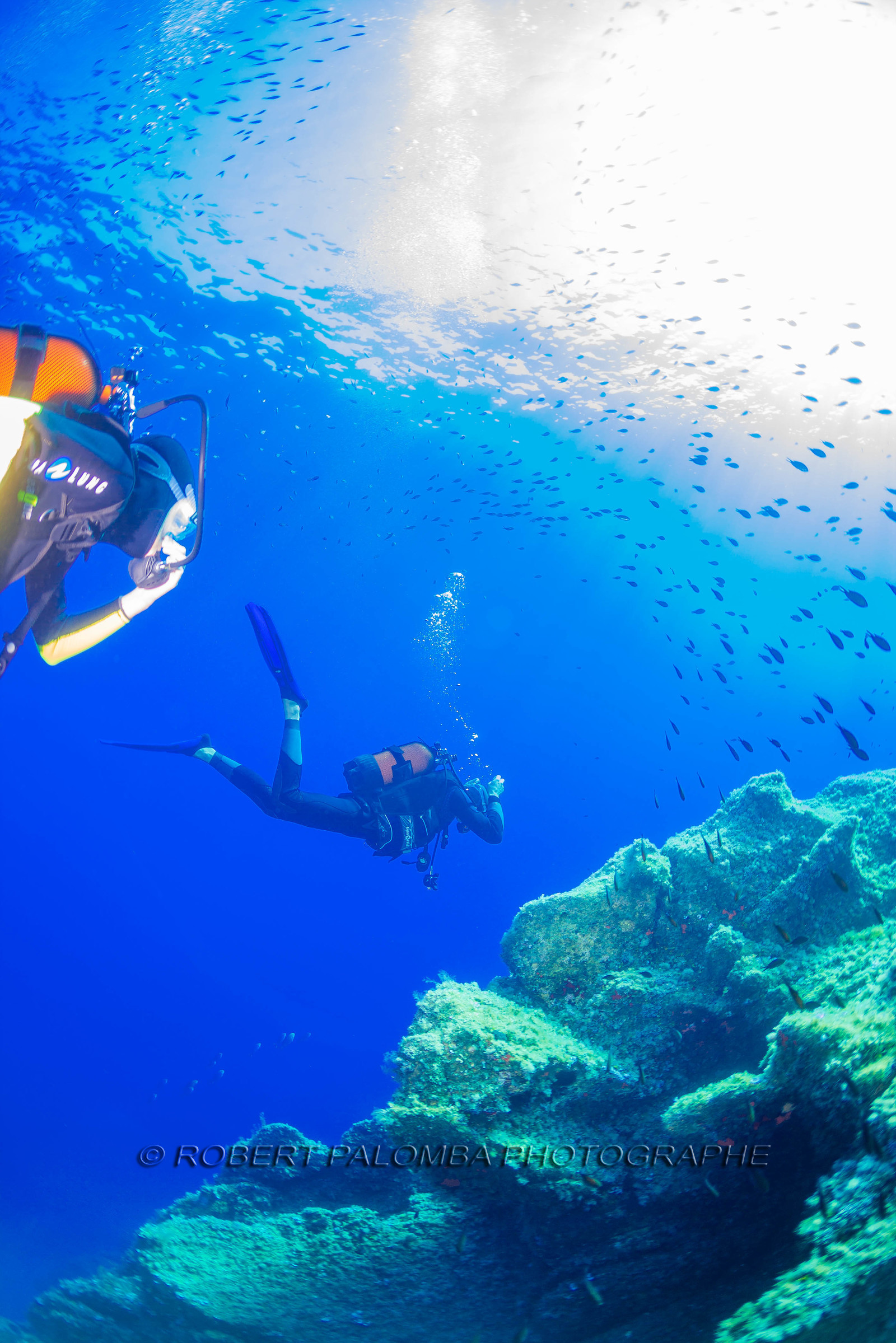 Plongée-sous-marine