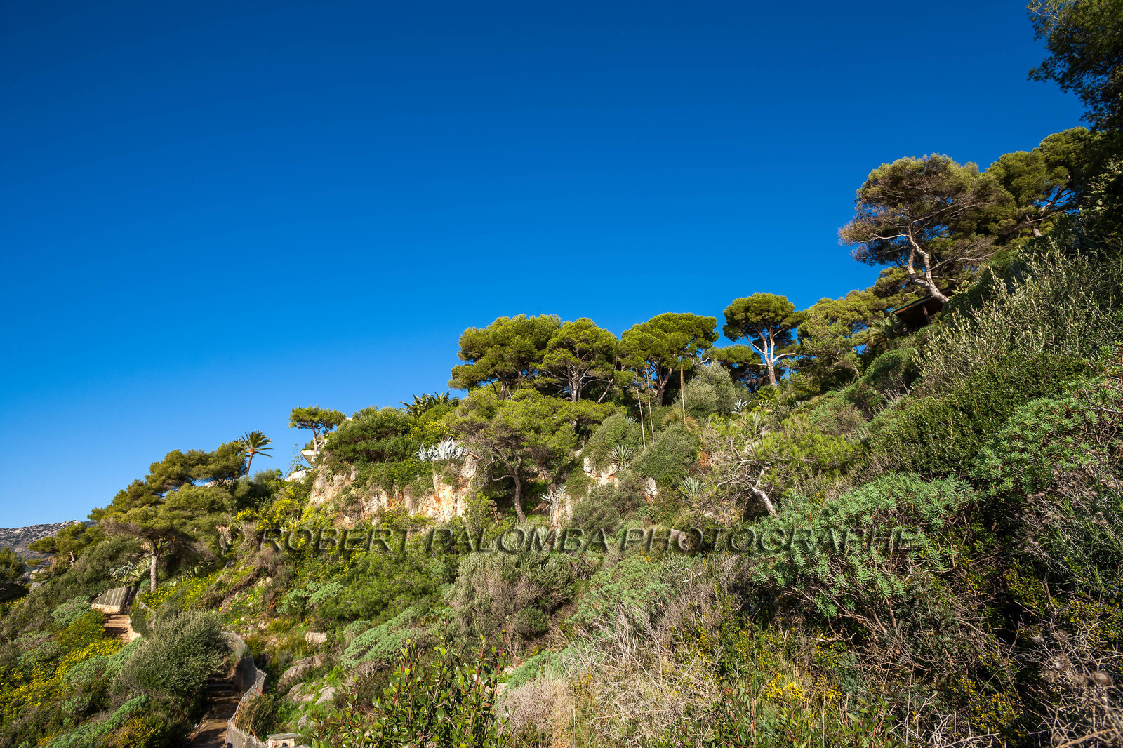 Roquebrune-Cap-Martin