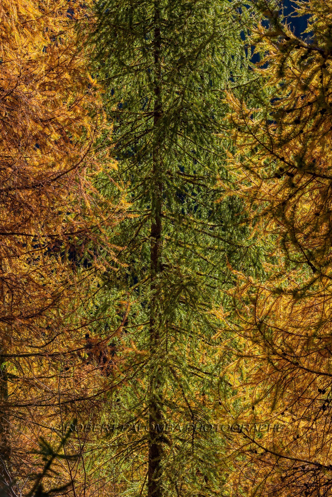 Granges de la Brasque