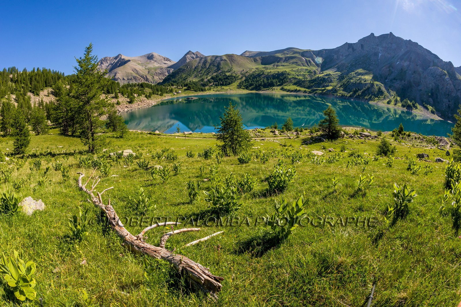 Lac d'Allos