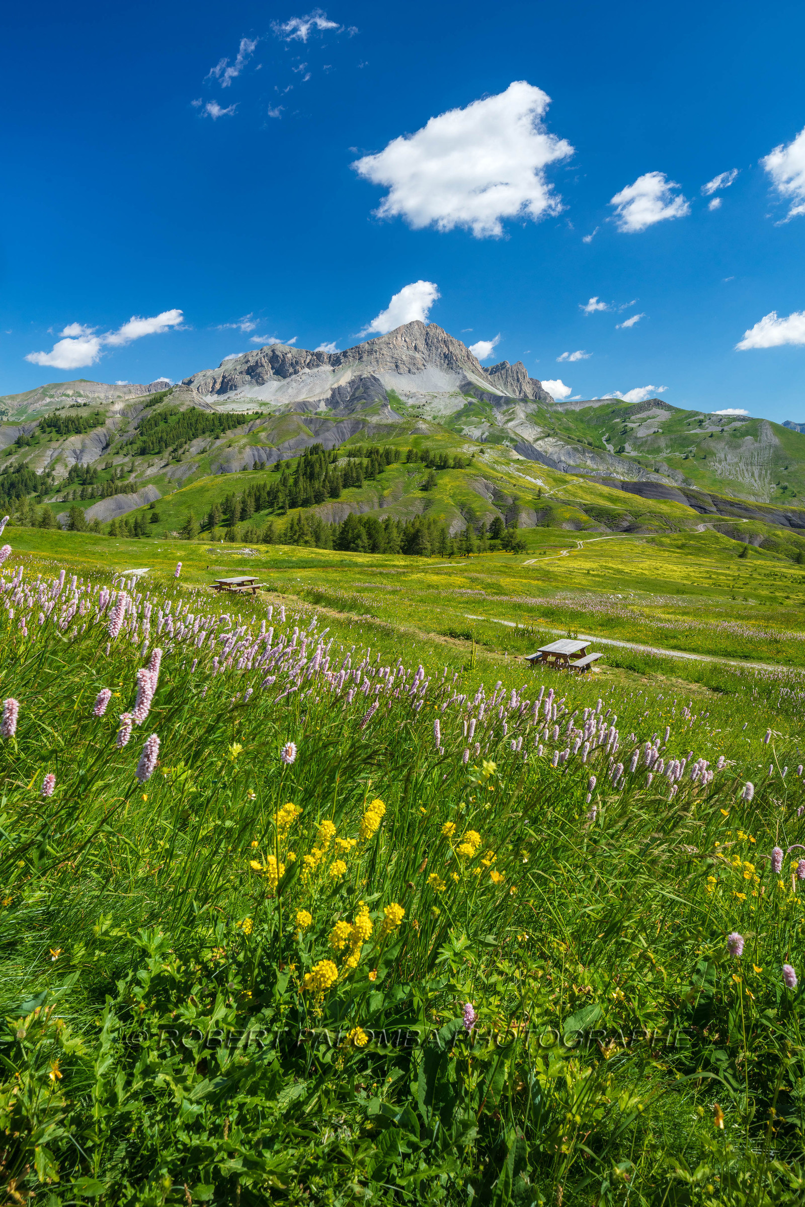 Col des Champs