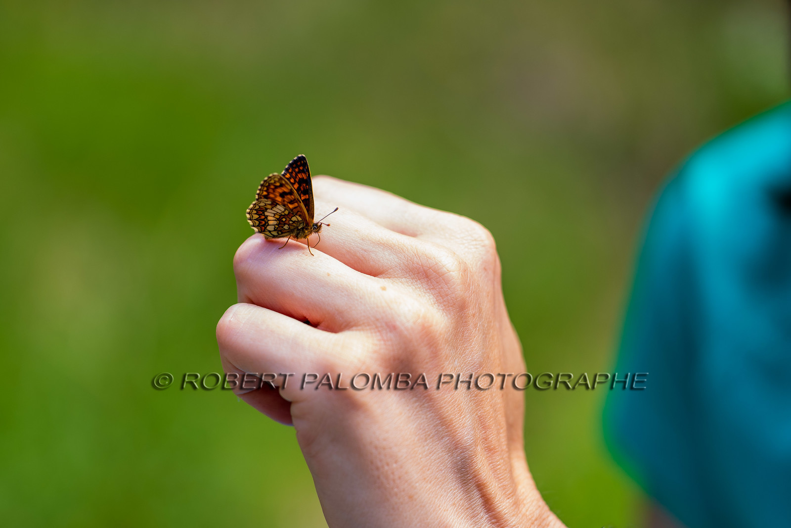 Alpes-de-Haute-Provence (04) Val d'Allos