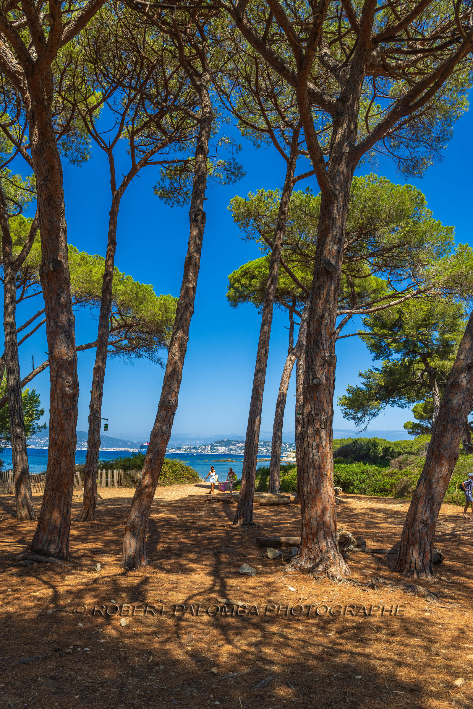 Lérins Sainte-Marguerite