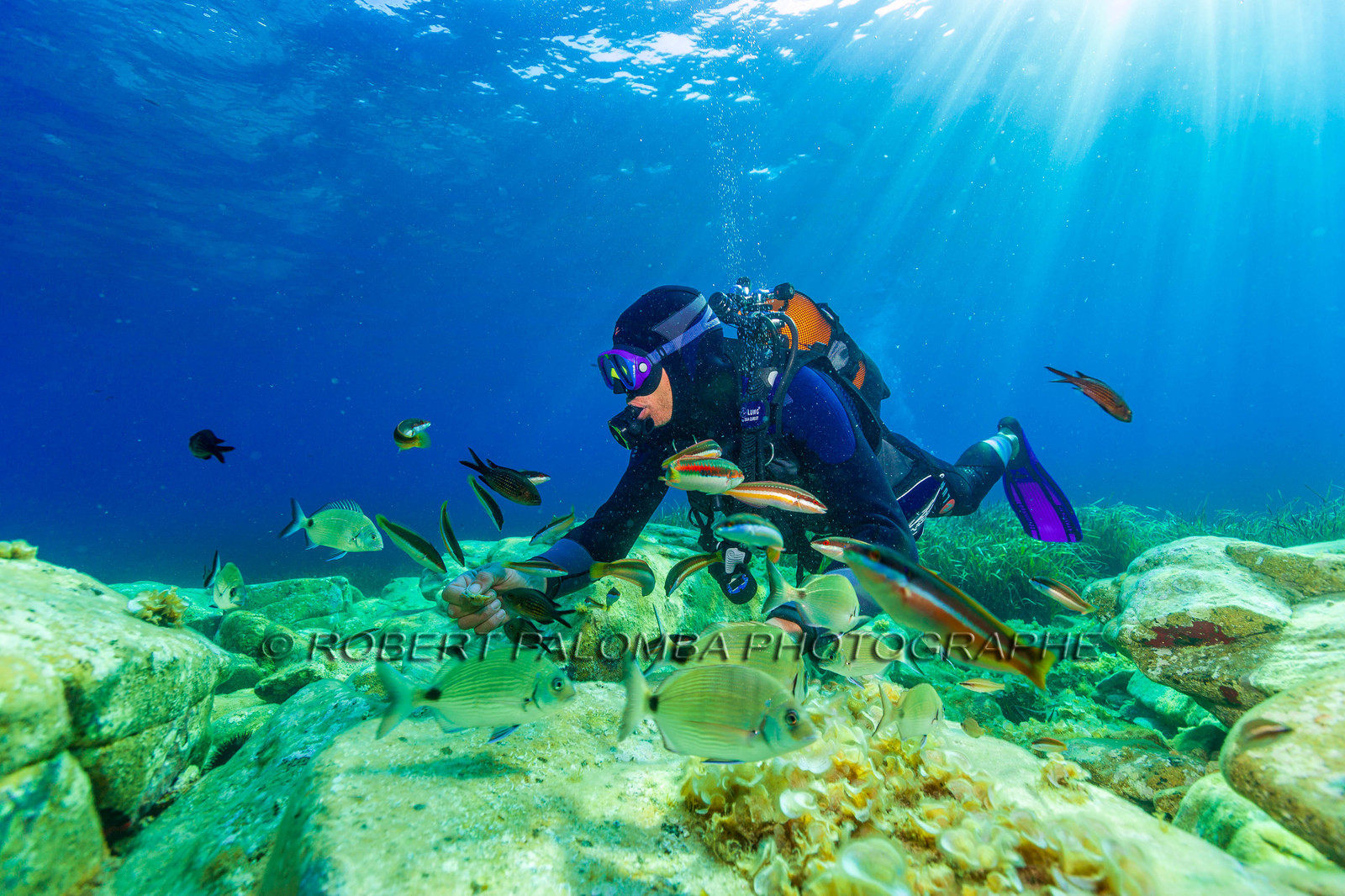 Plongée-sous-marine