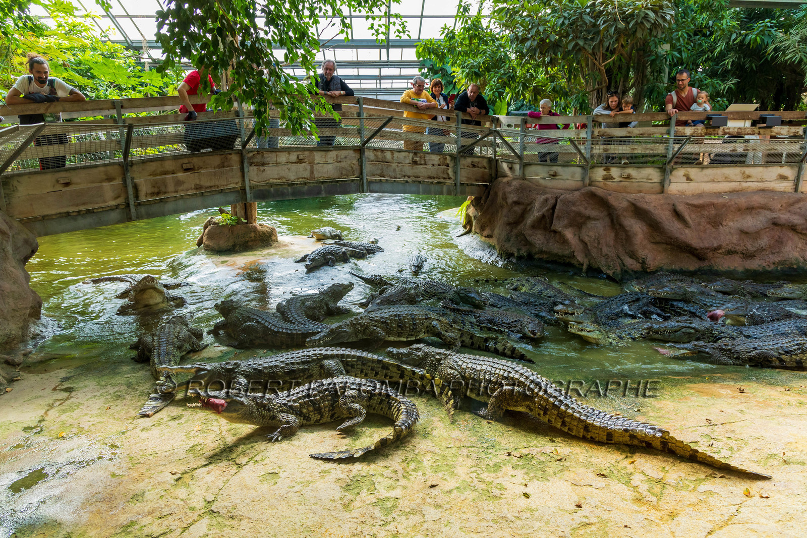 La Ferme aux crocodiles