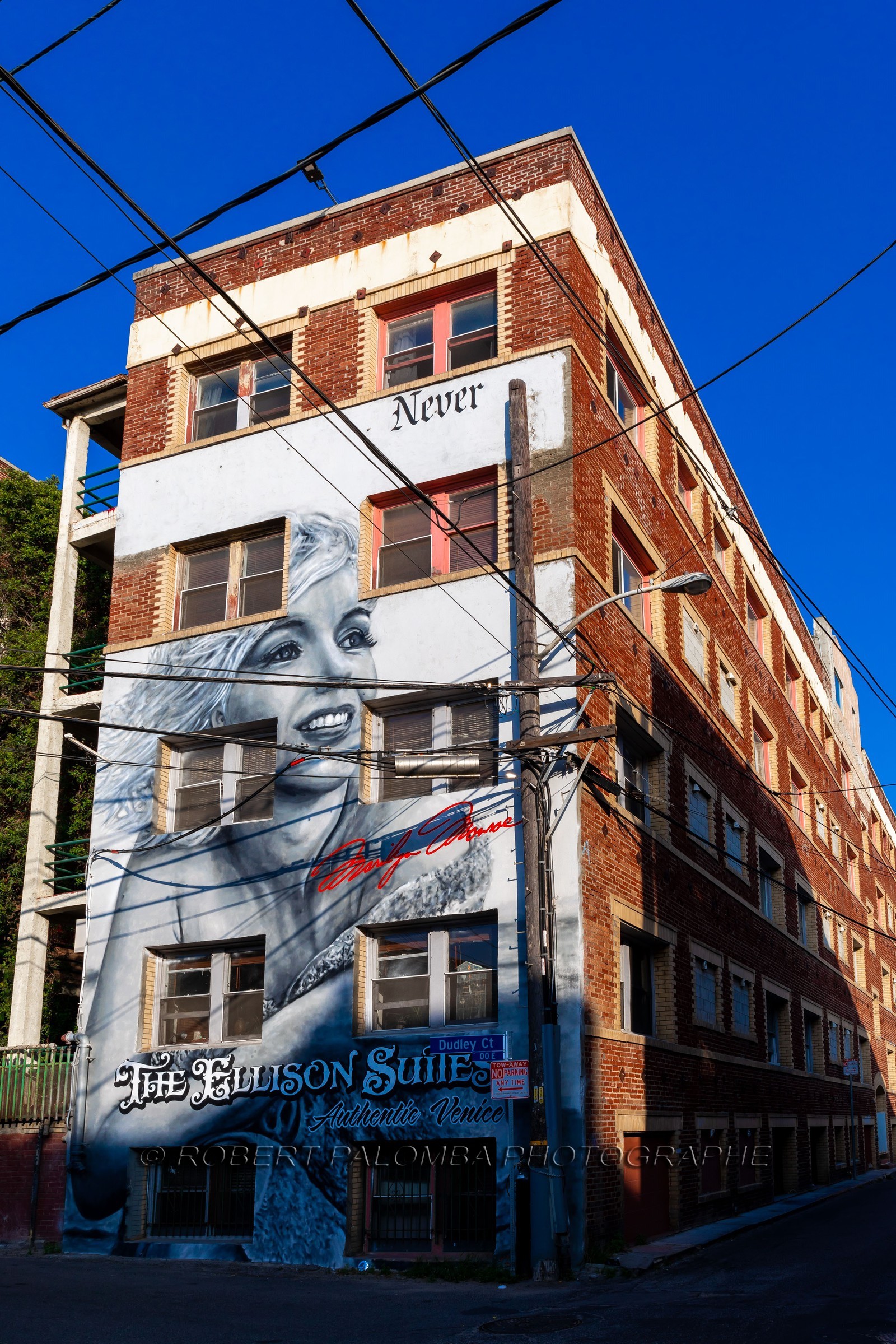 Etats-Unis, Californie-du-Sud, Los Angeles, Venice, Venice Beach