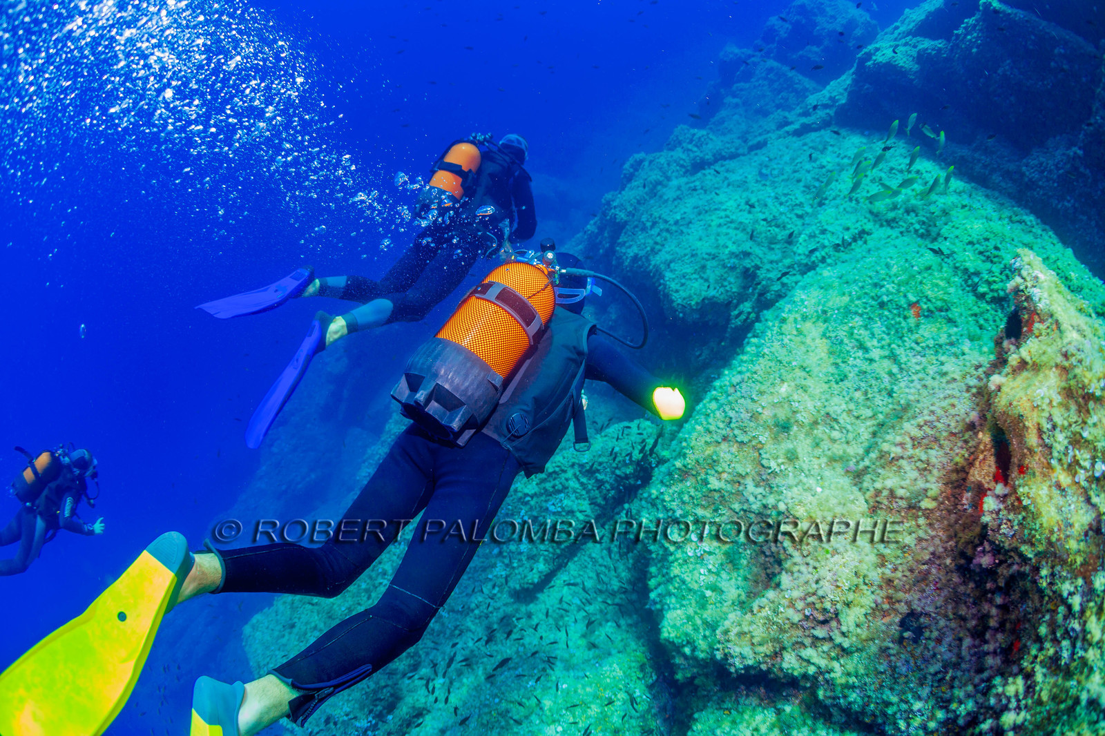 Plongée-sous-marine