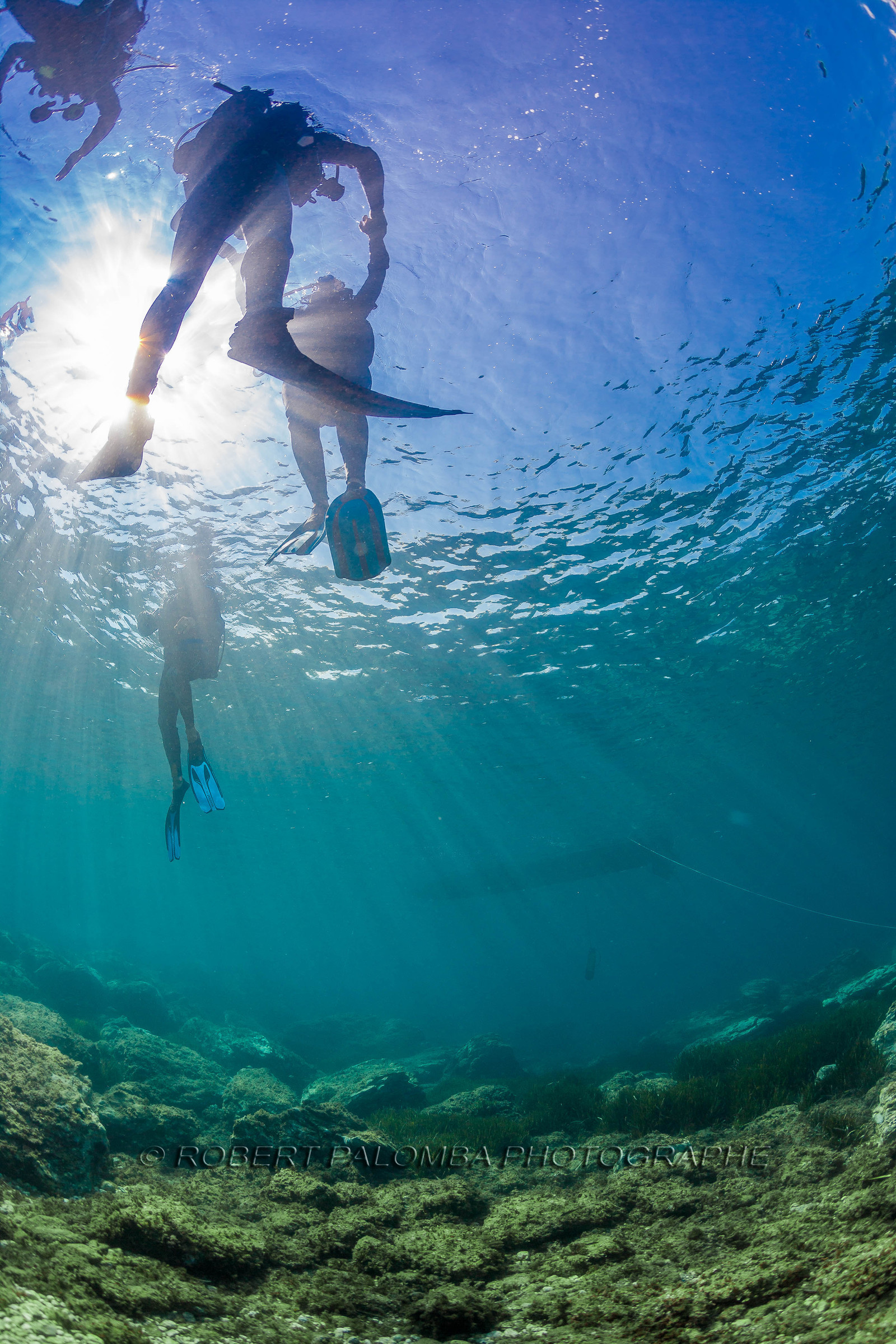 Plongée sous-marine