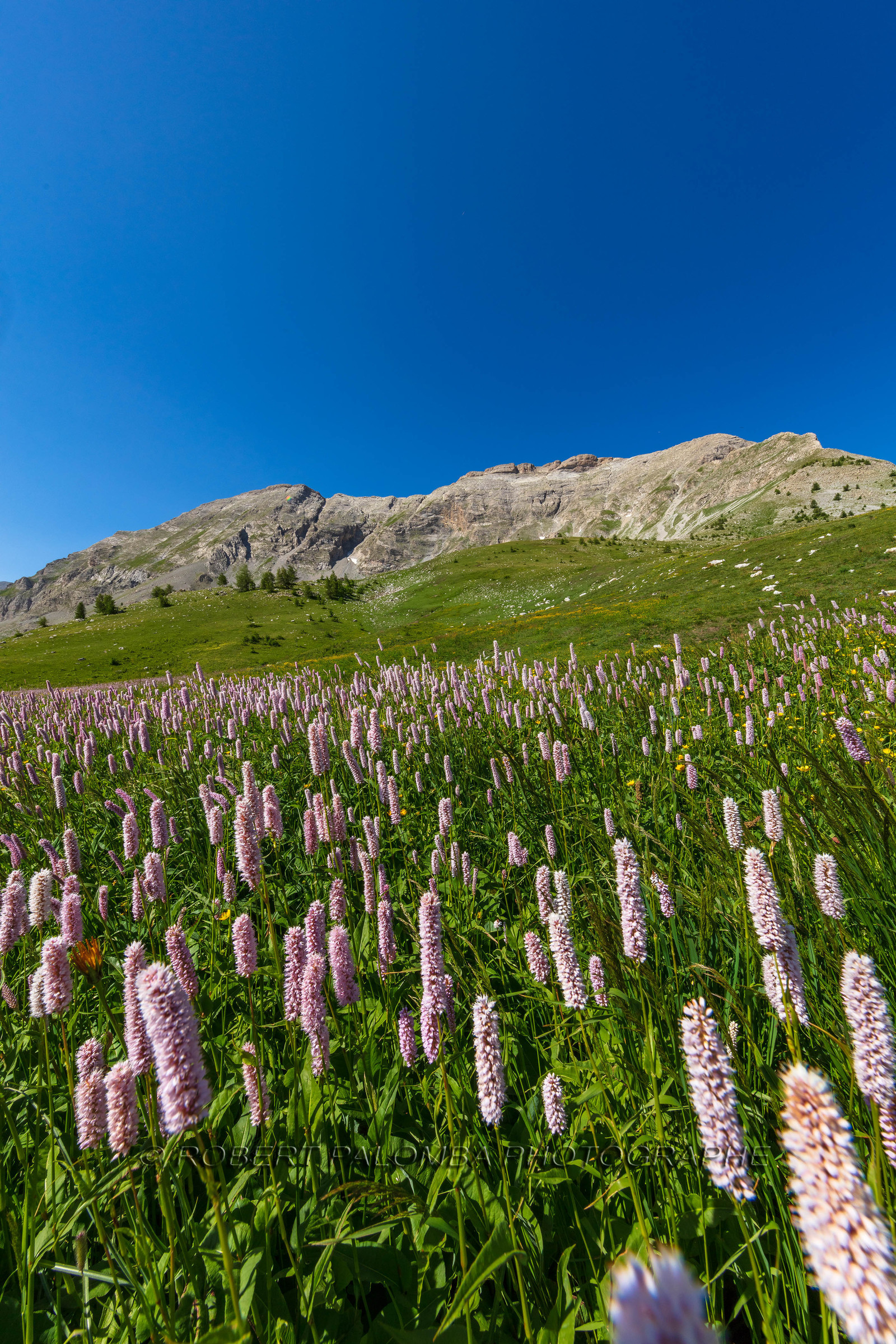 Col des Champs