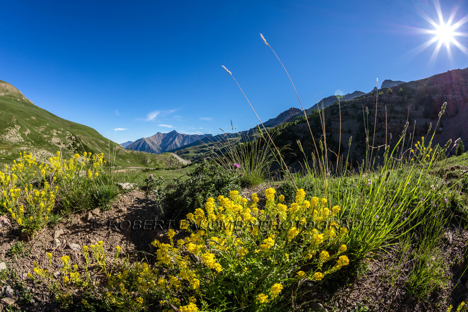 Col de la Bonette