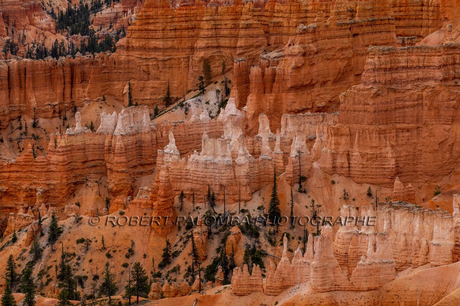 Bryce Canyon