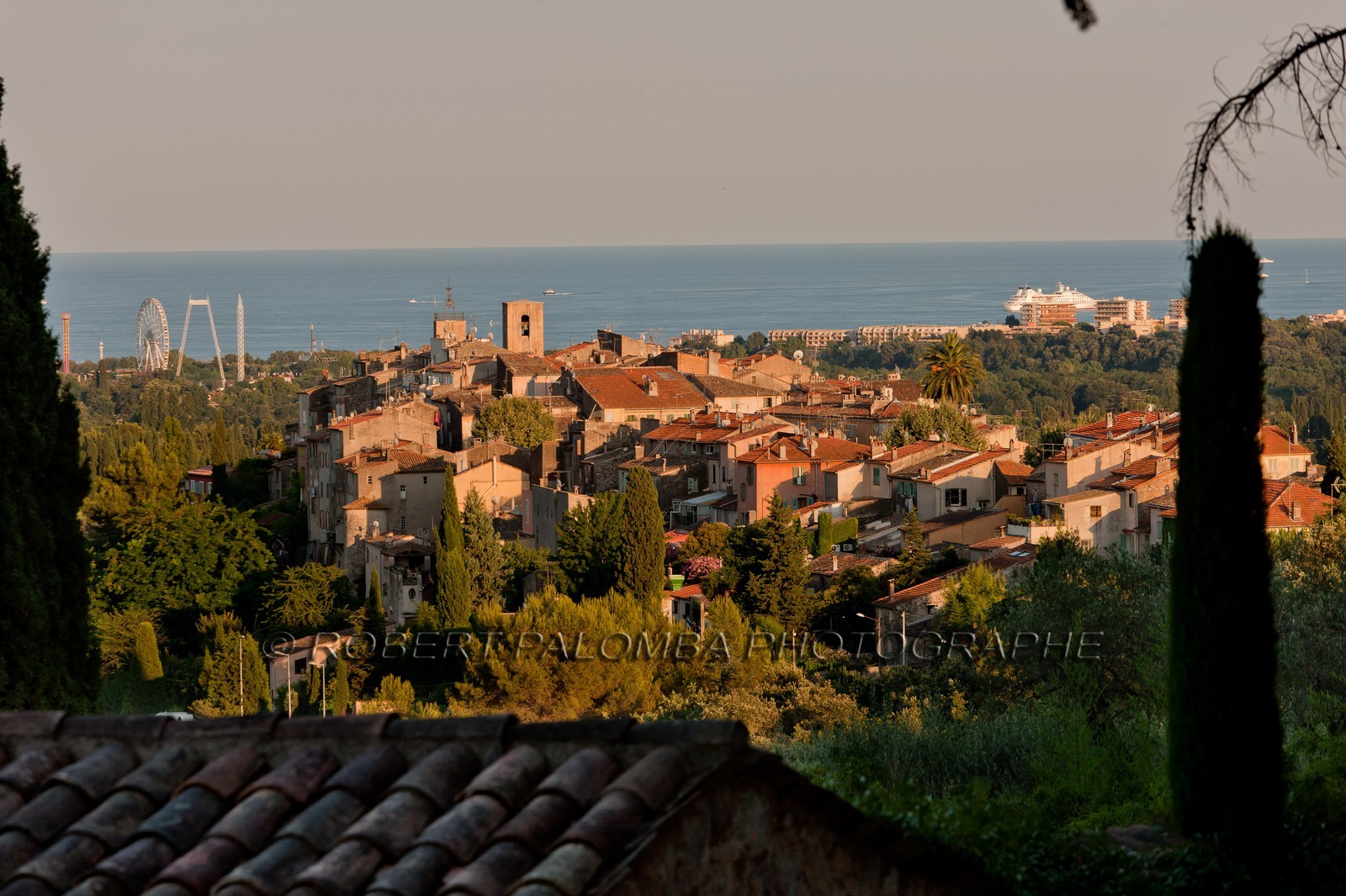 Biot