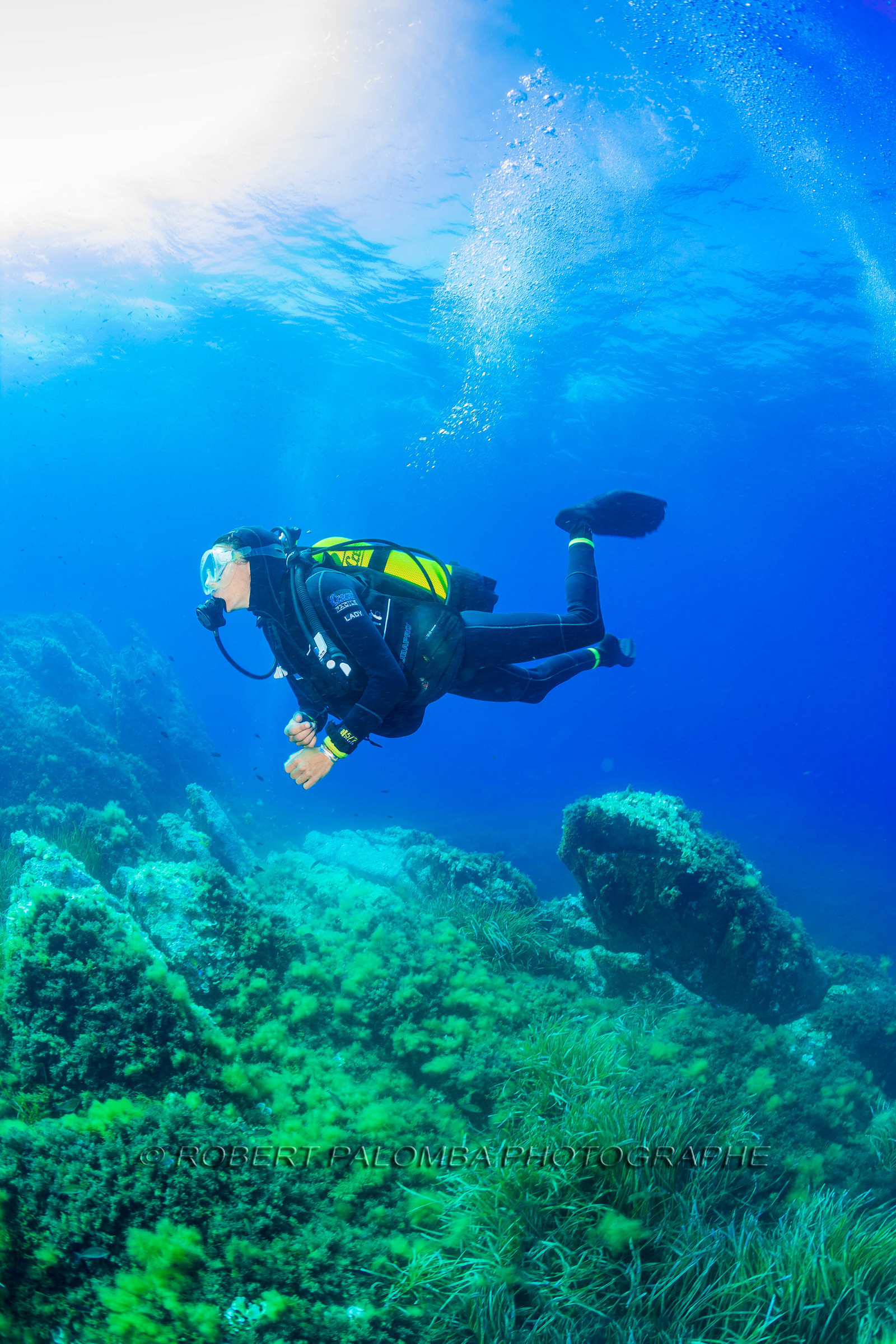 Plongée-sous-marine