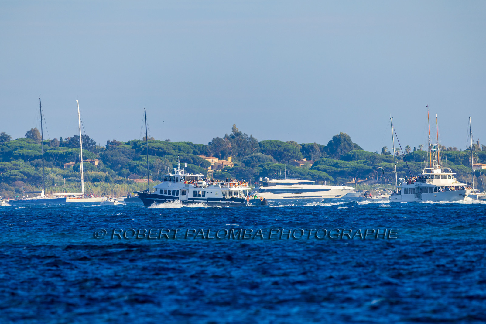 Les Voiles de Saint-Tropez