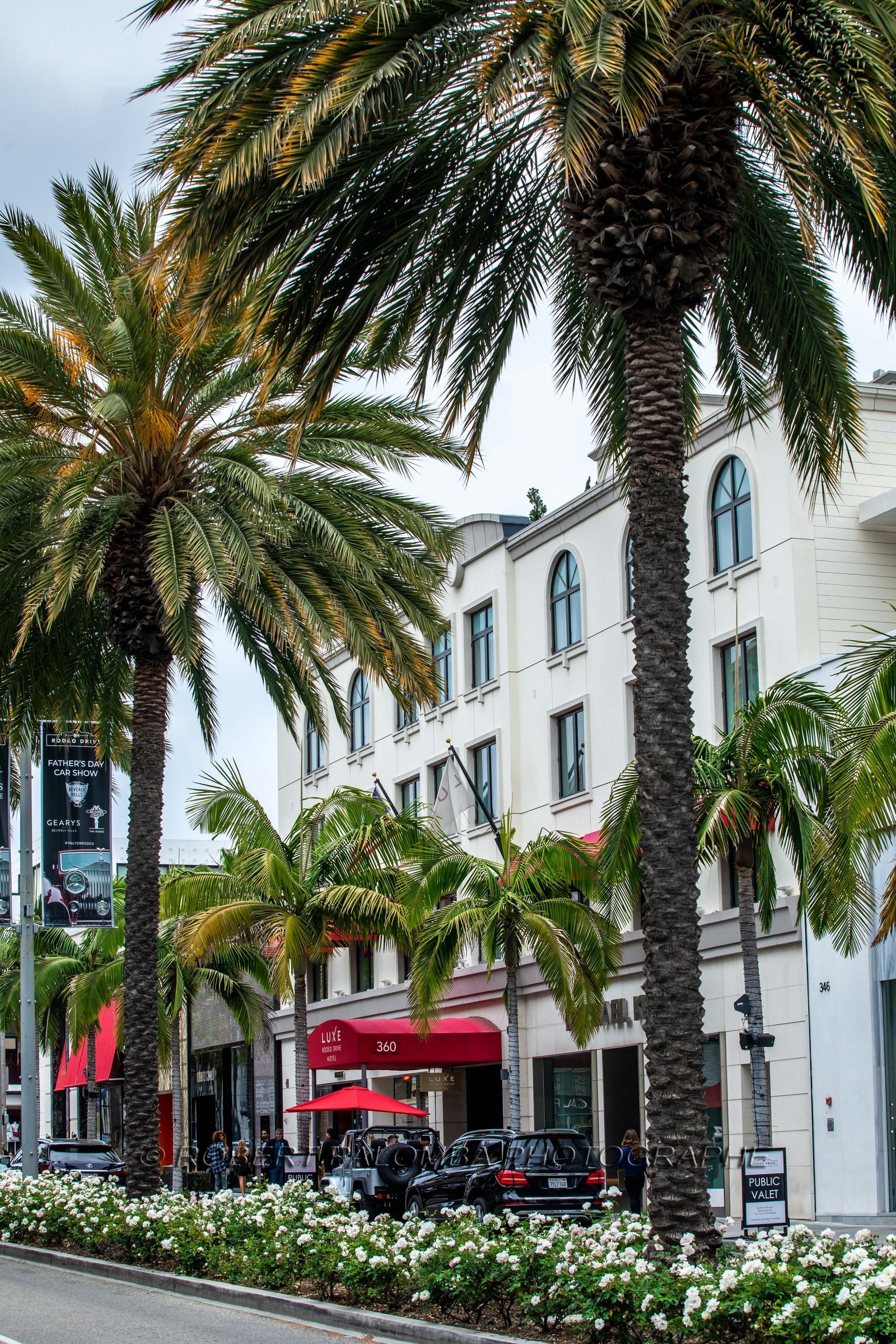 Etats-Unis, Californie-du-Sud, Los Angeles, Rodeo Drive