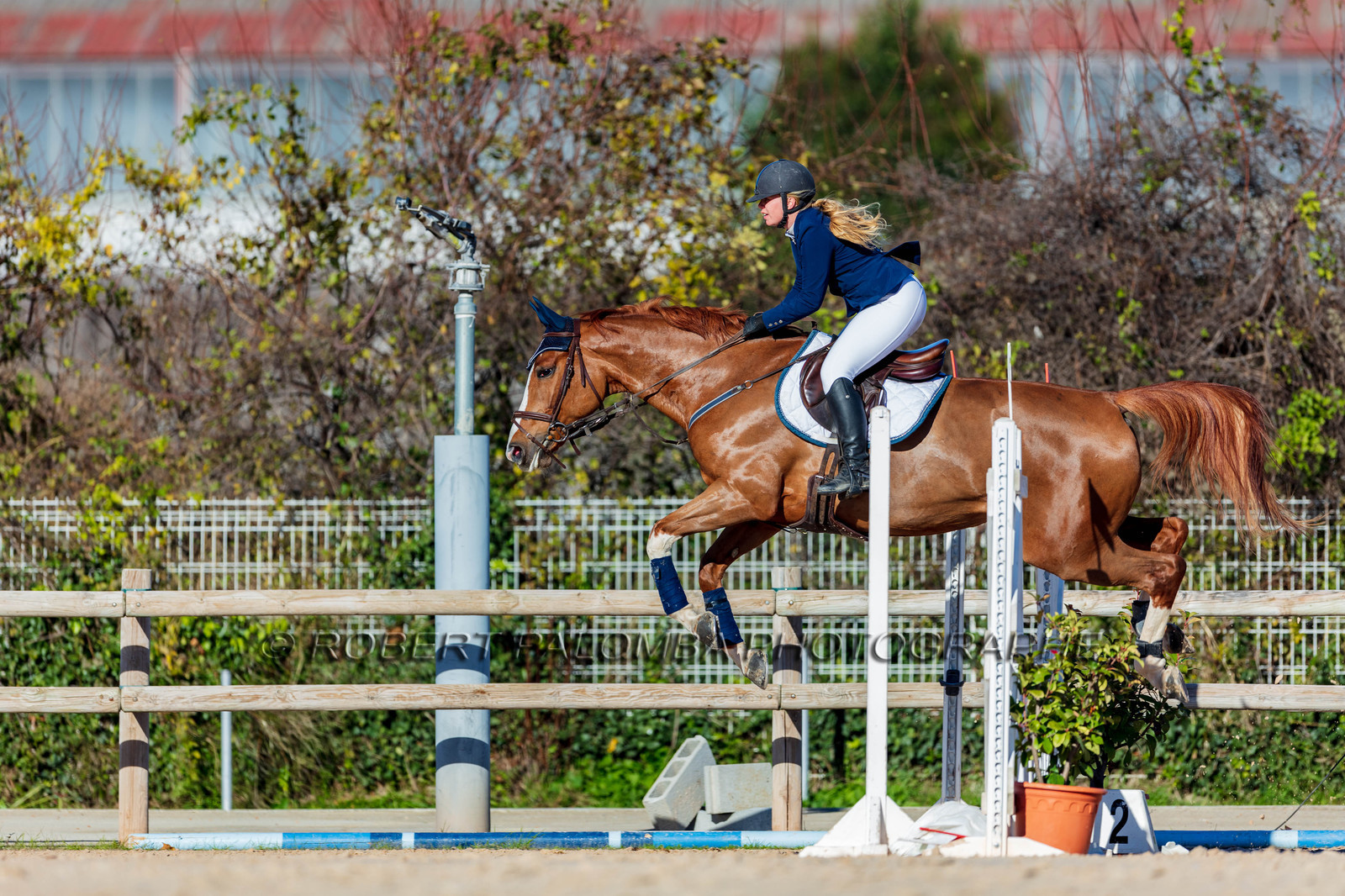 Equitation