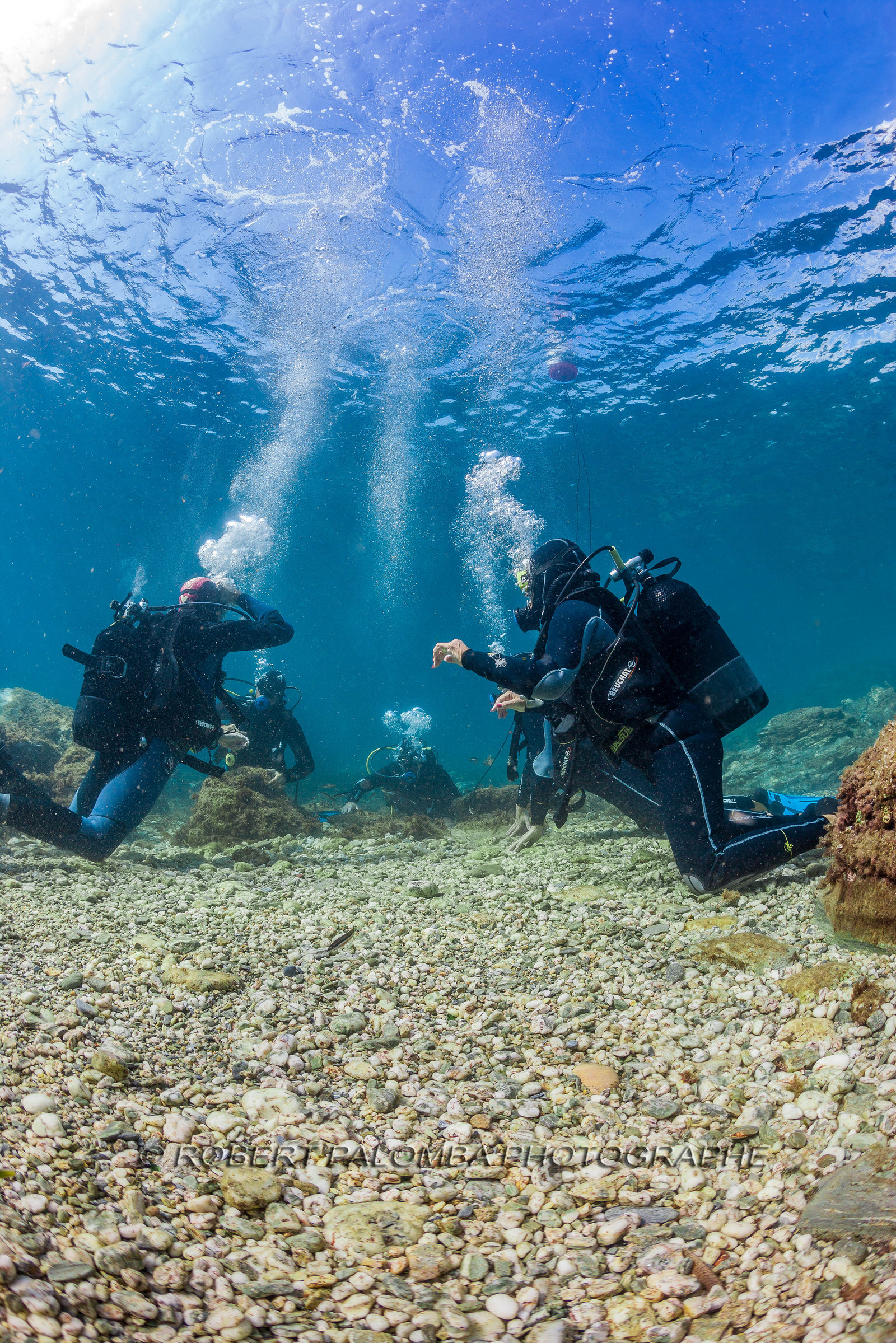 Plongée sous-marine