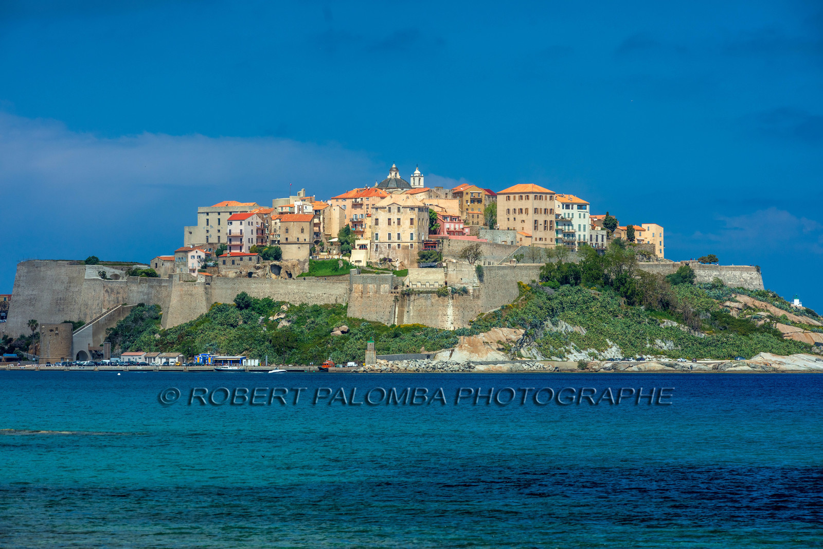 Calvi