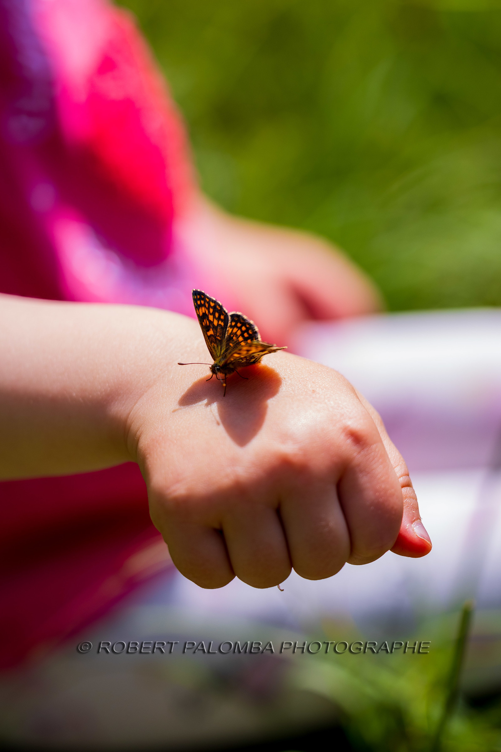 Alpes-de-Haute-Provence (04) Val d'Allos