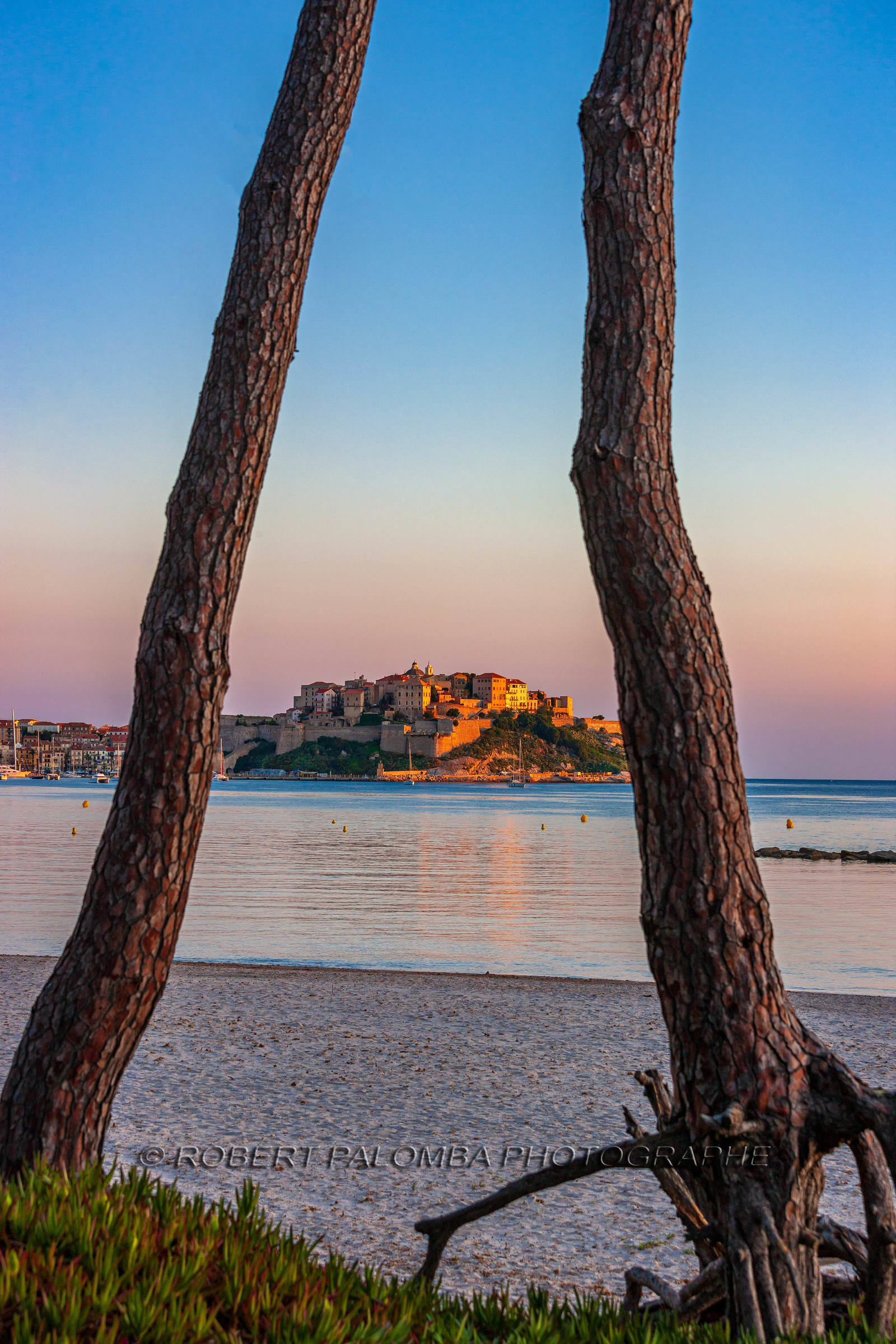 Calvi