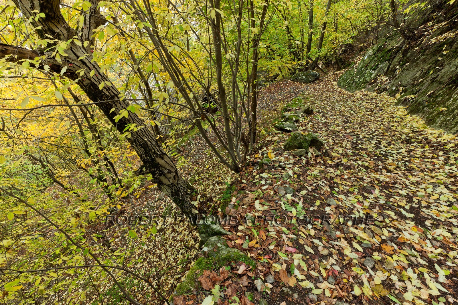 Sentier cascade de Louch