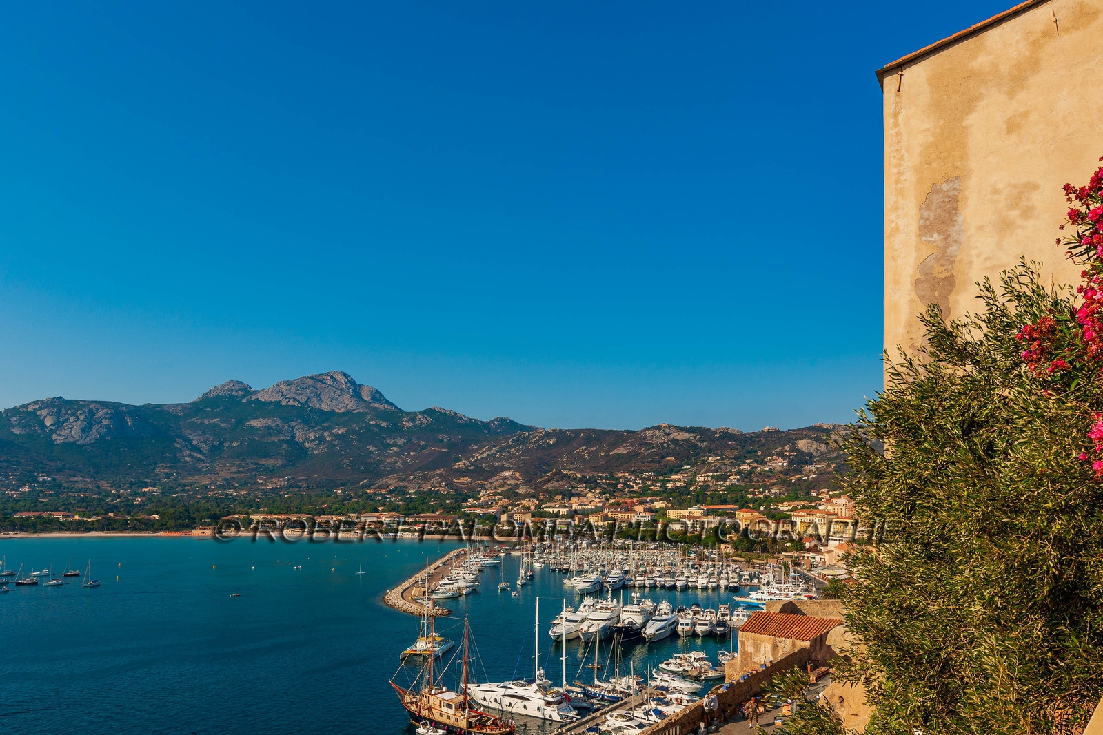Calvi