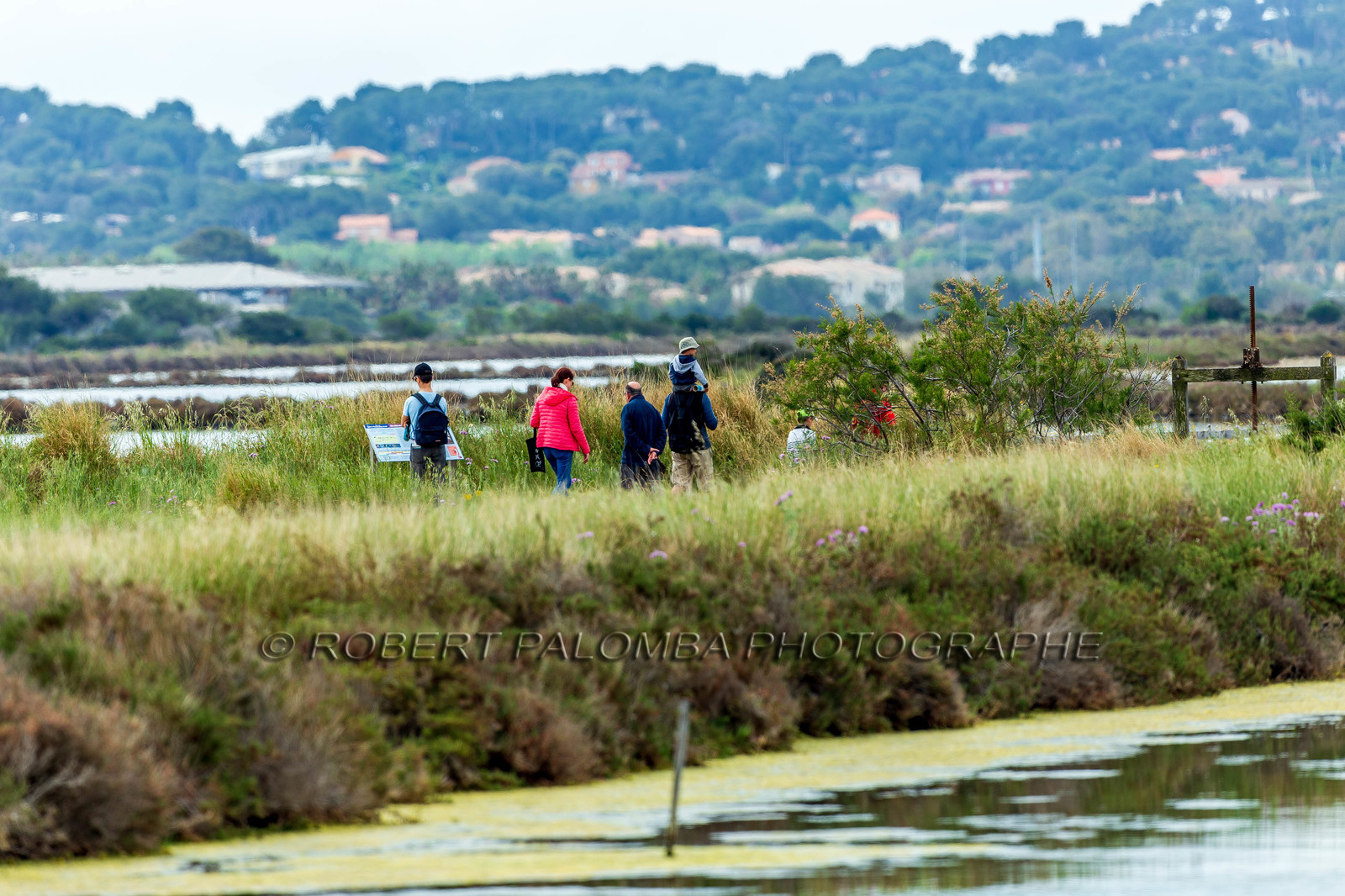 Salins d'Hyères