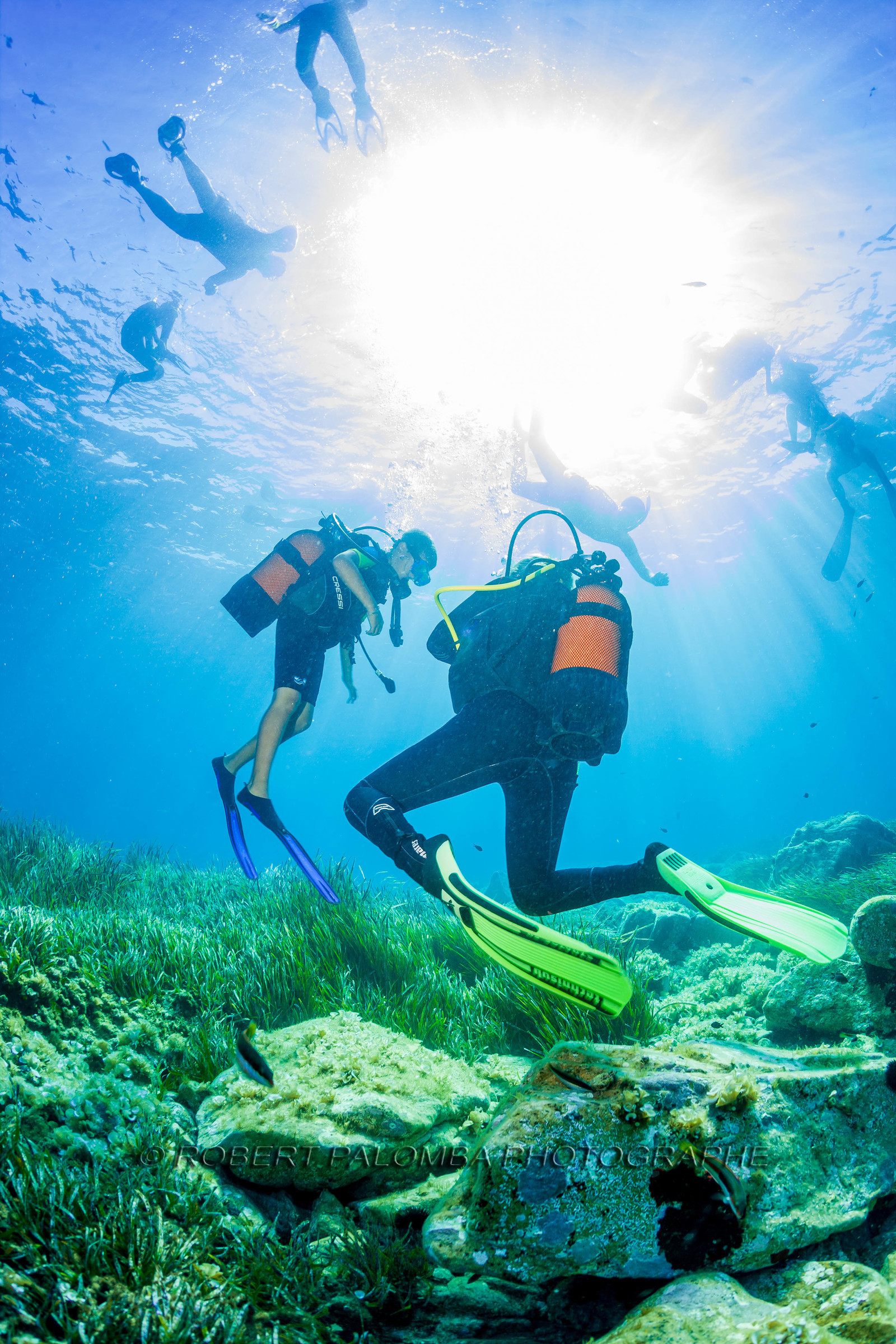 Plongée-sous-marine