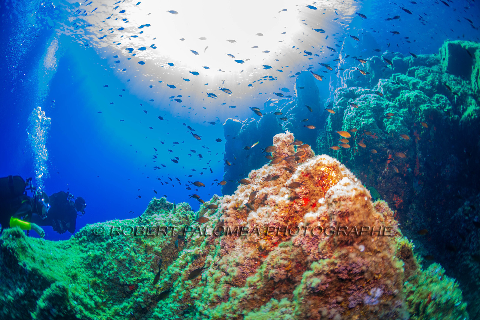 Plongée-sous-marine