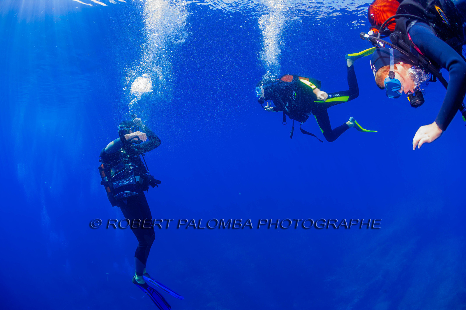 Plongée-sous-marine