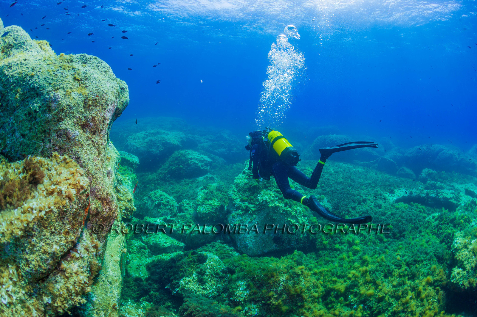 Plongée-sous-marine
