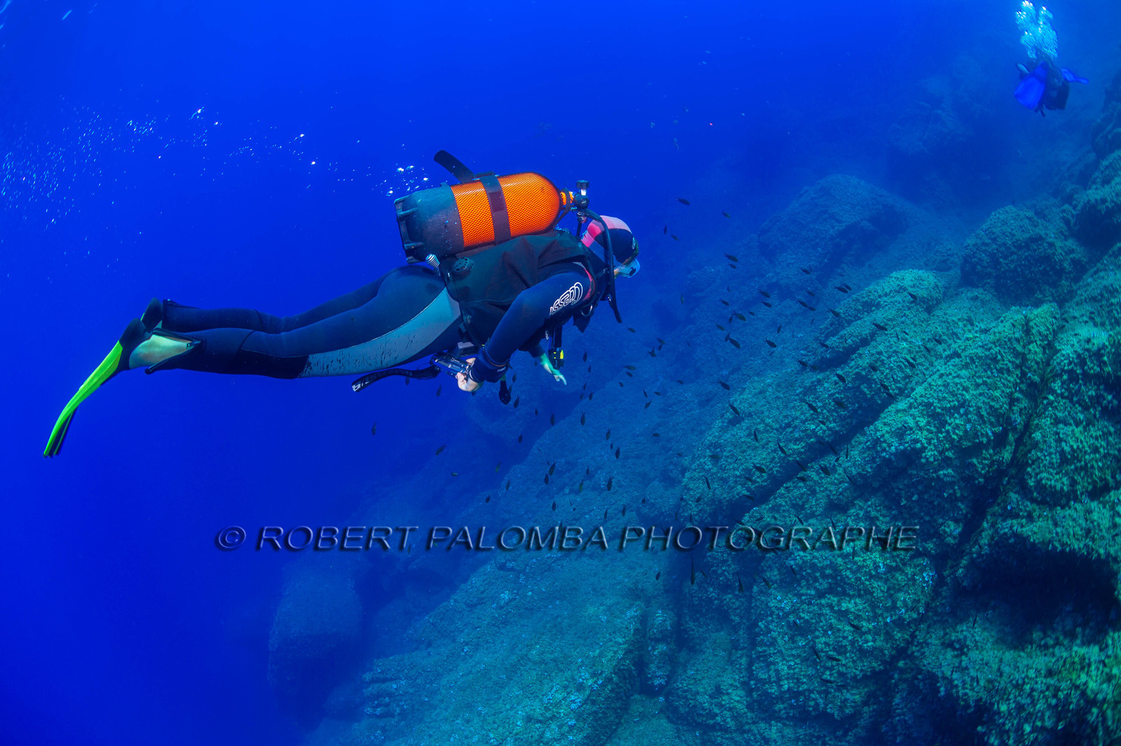 Plongée-sous-marine