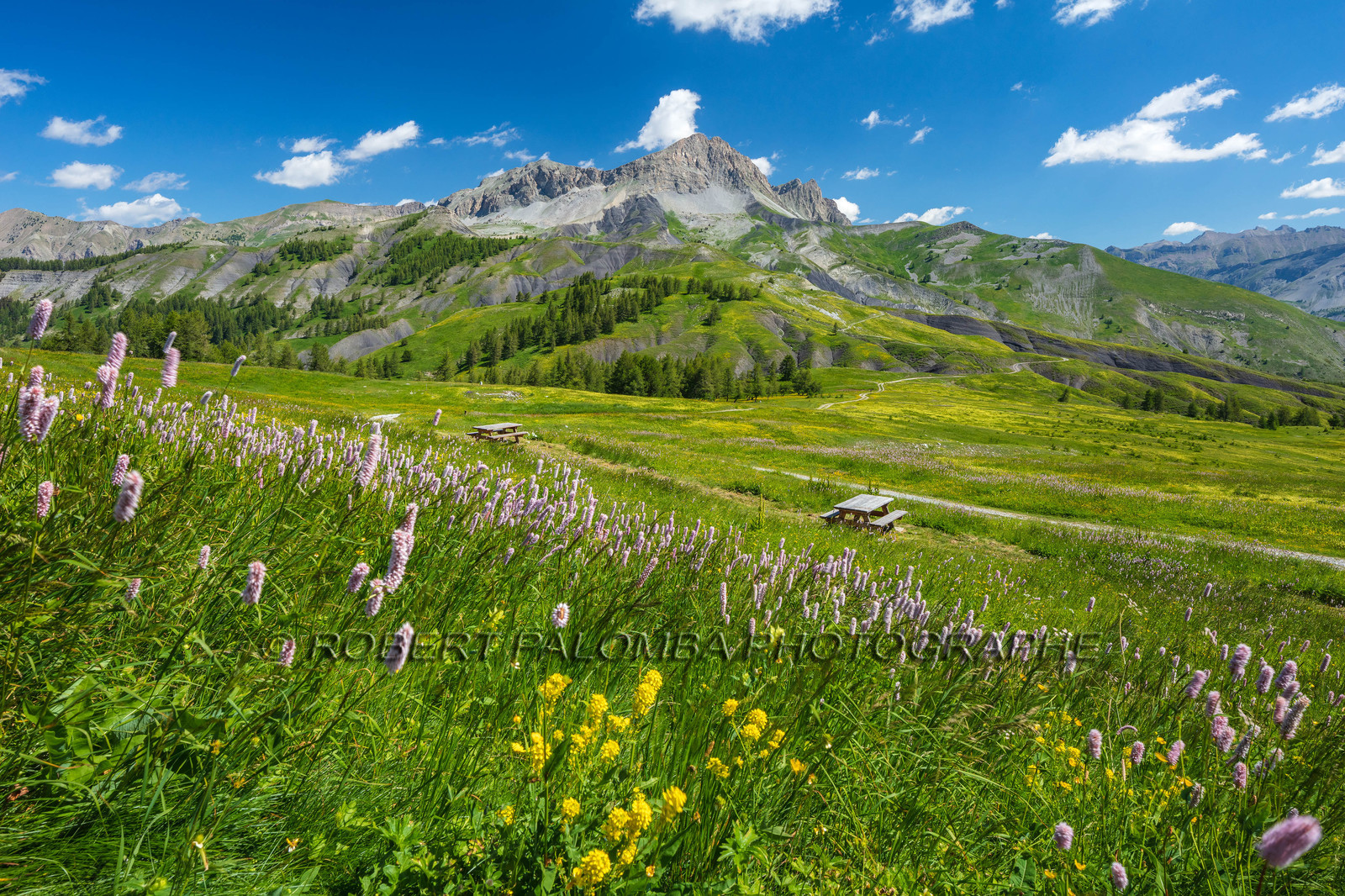 Col des Champs