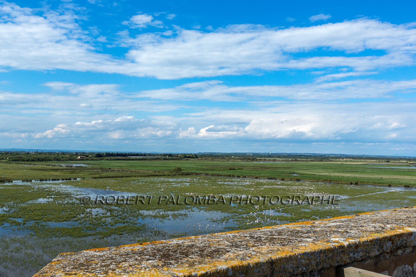 Saint-Laurent-d'Aigouze