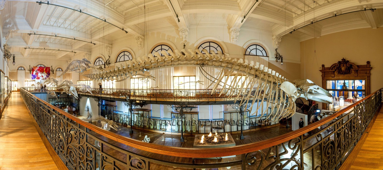 Musée Océanographique de Monaco