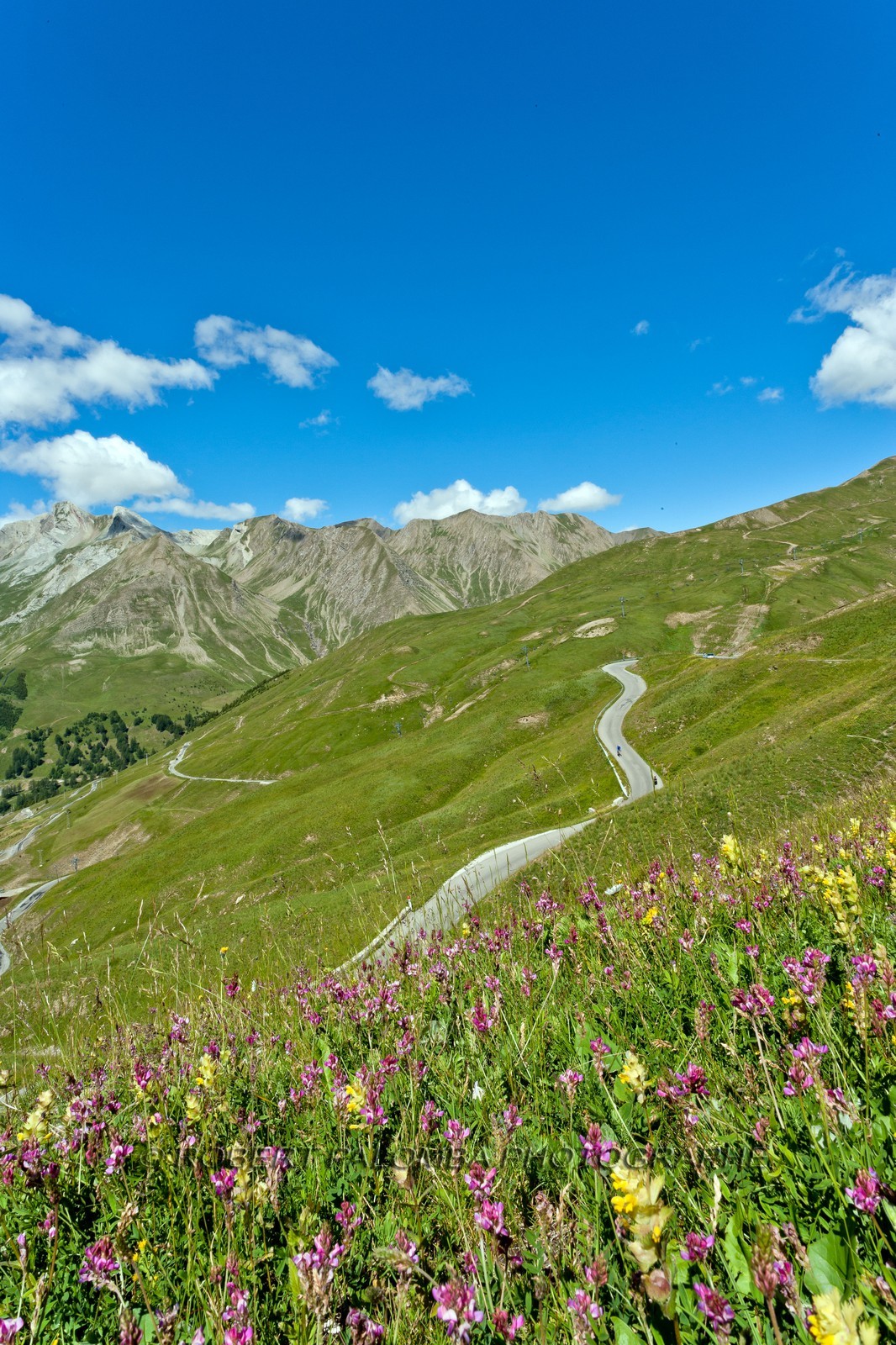Col d'Allos