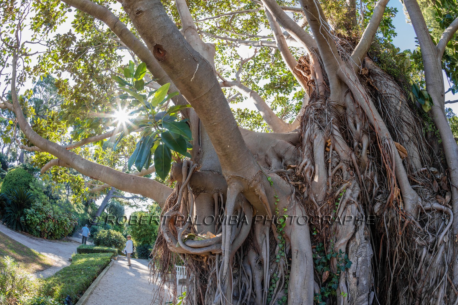 Saint-Jean-Cap-Ferrat
