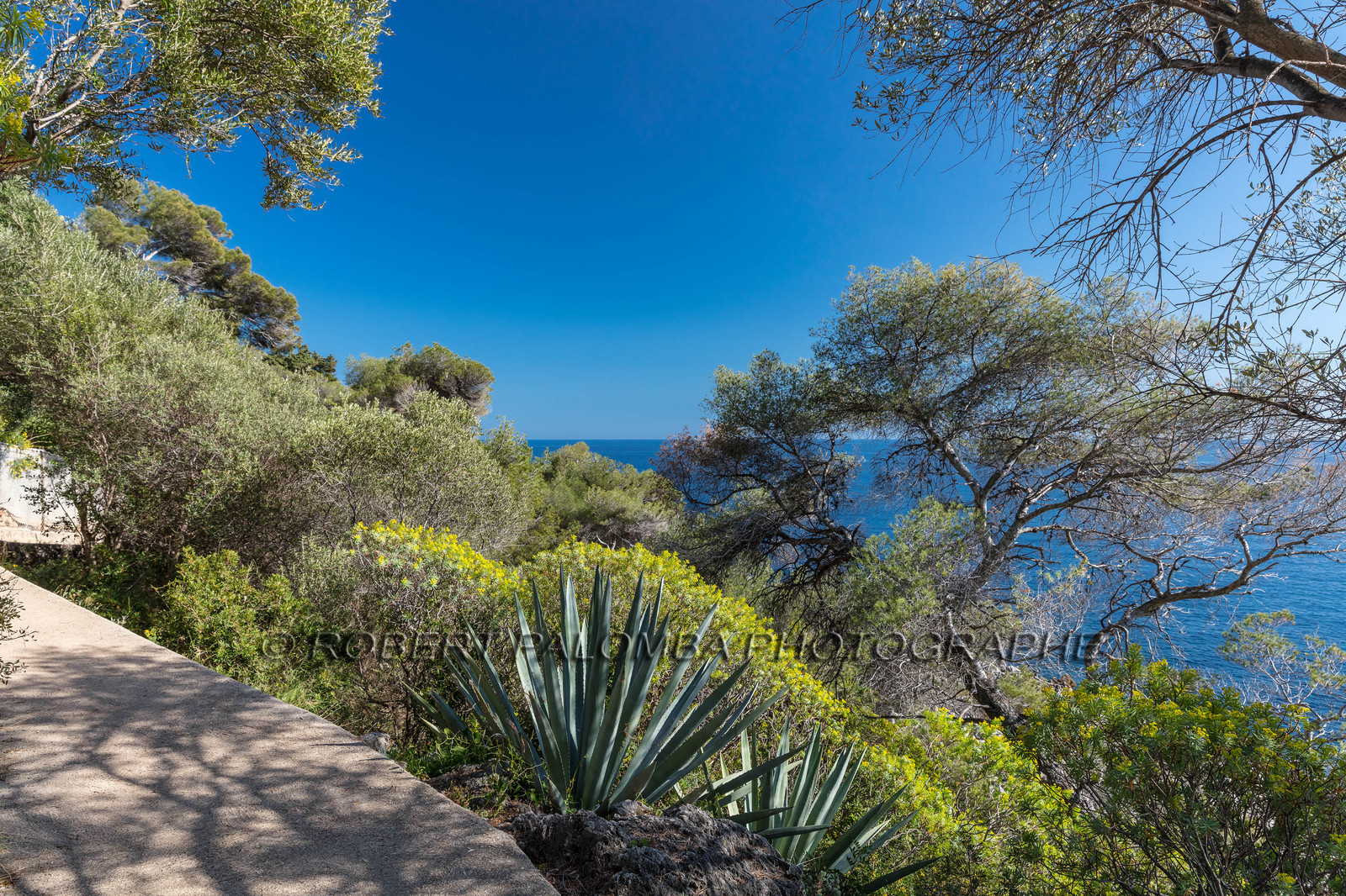 Roquebrune-Cap-Martin