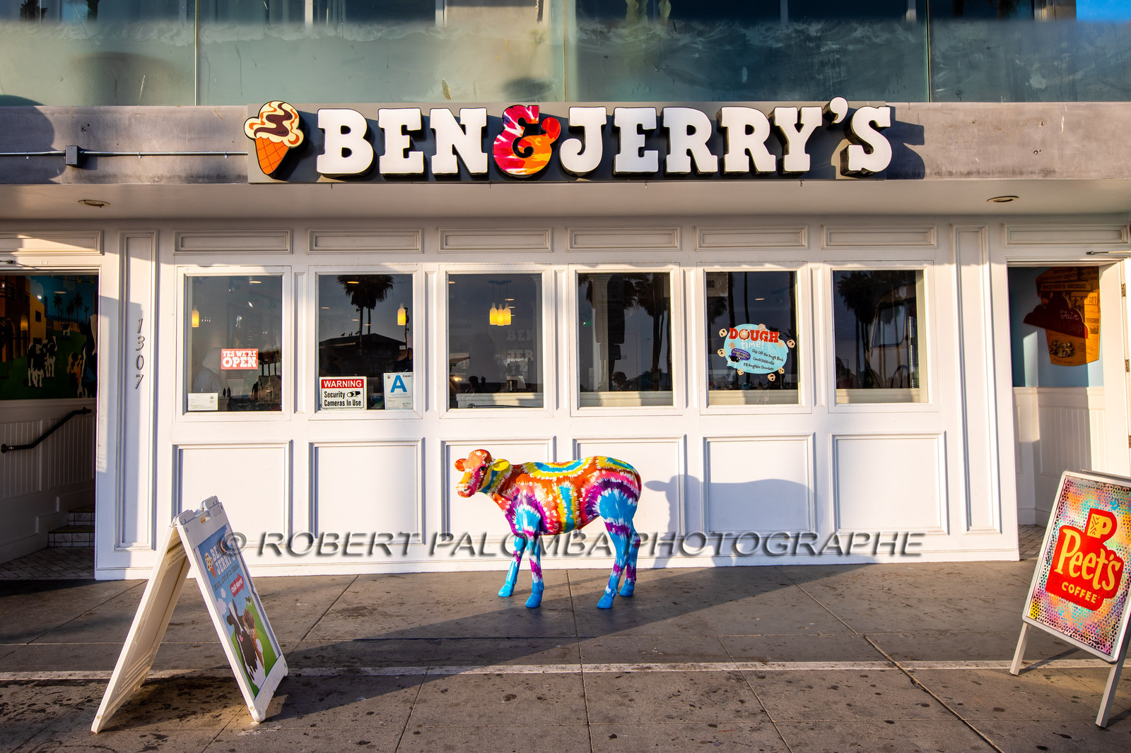 United States, South California, Los Angeles, Venice, Venice Beach