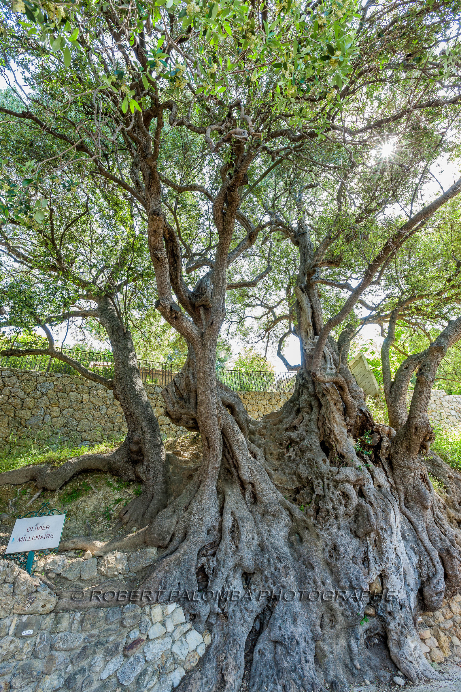 Roquebrune-Cap-Martin