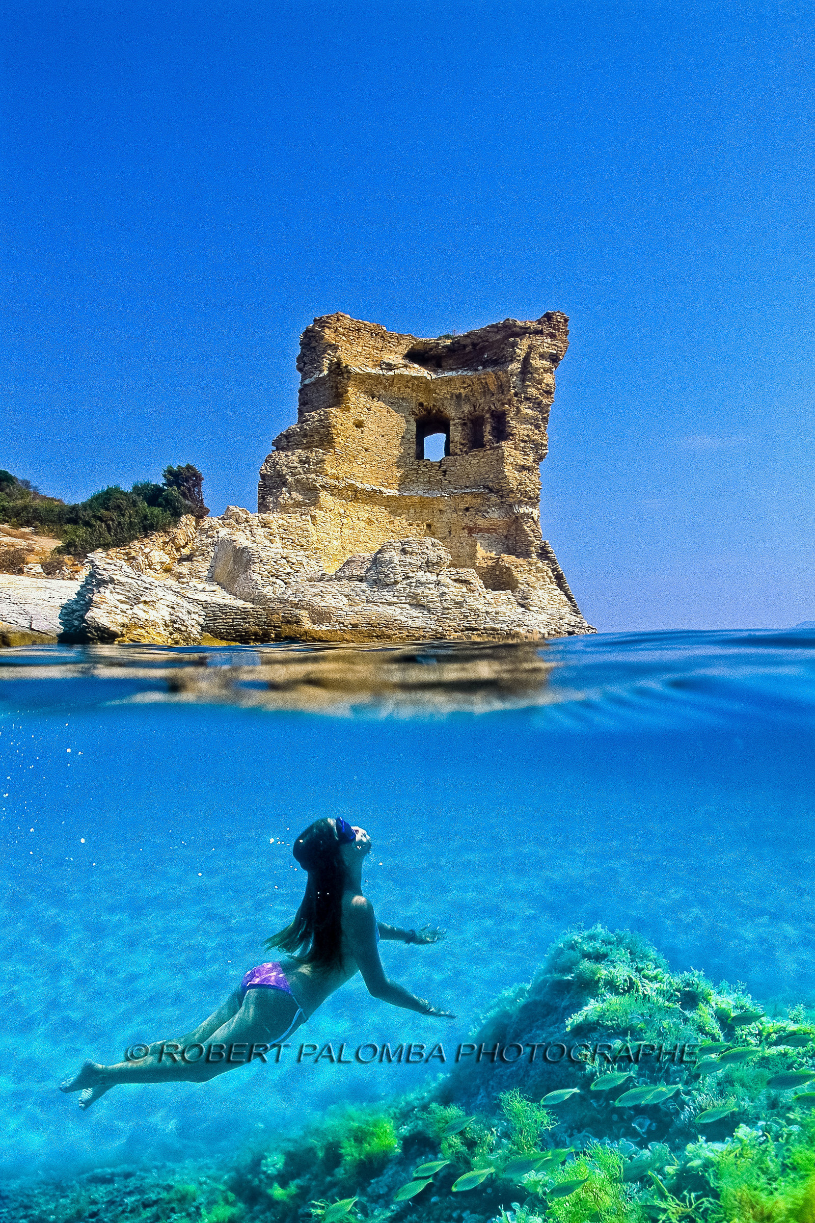 e mail robert.palomba@wanadoo.fr