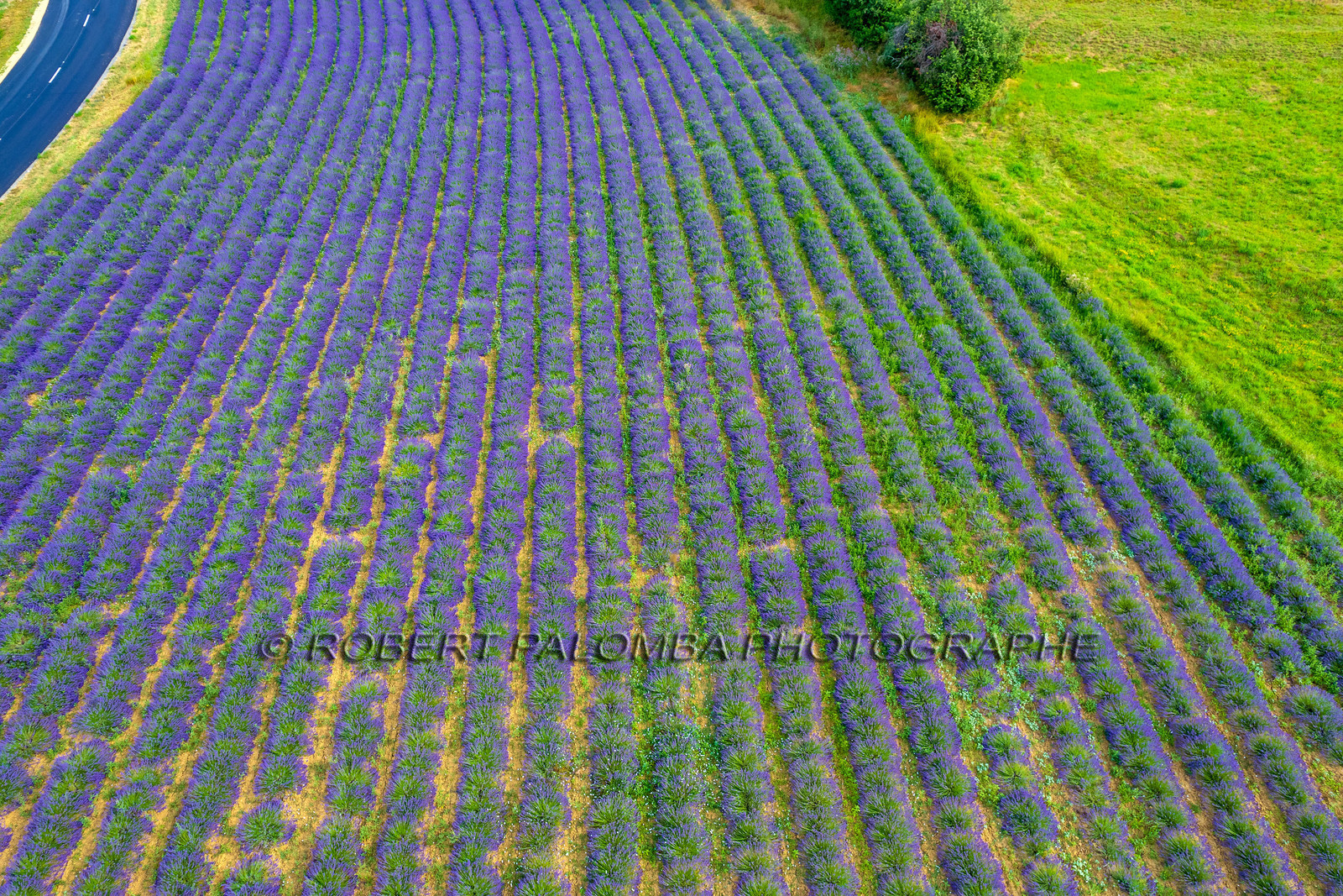 Le Chaffaut-Saint-Jurson