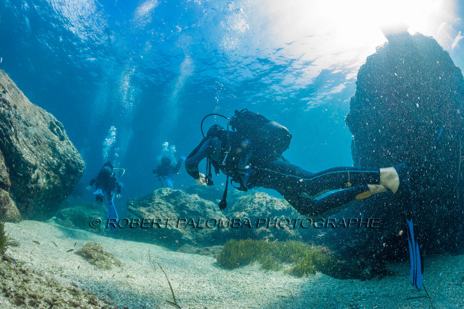 Plongée sous-marine