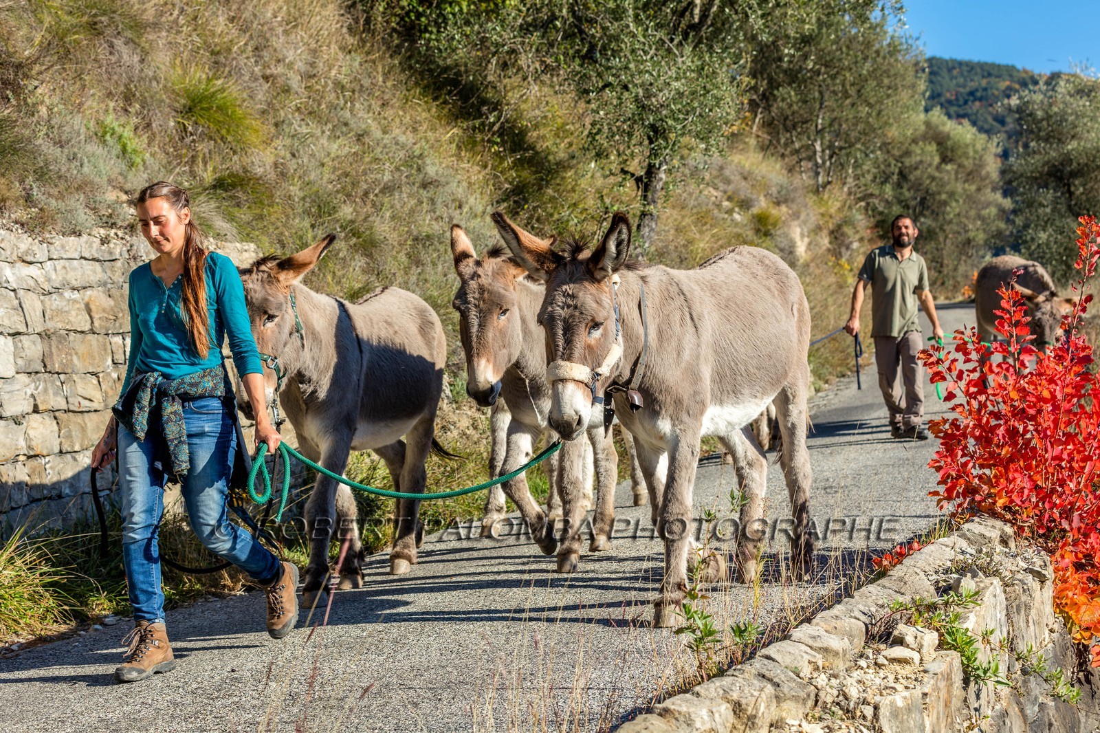 Granges de la Brasque