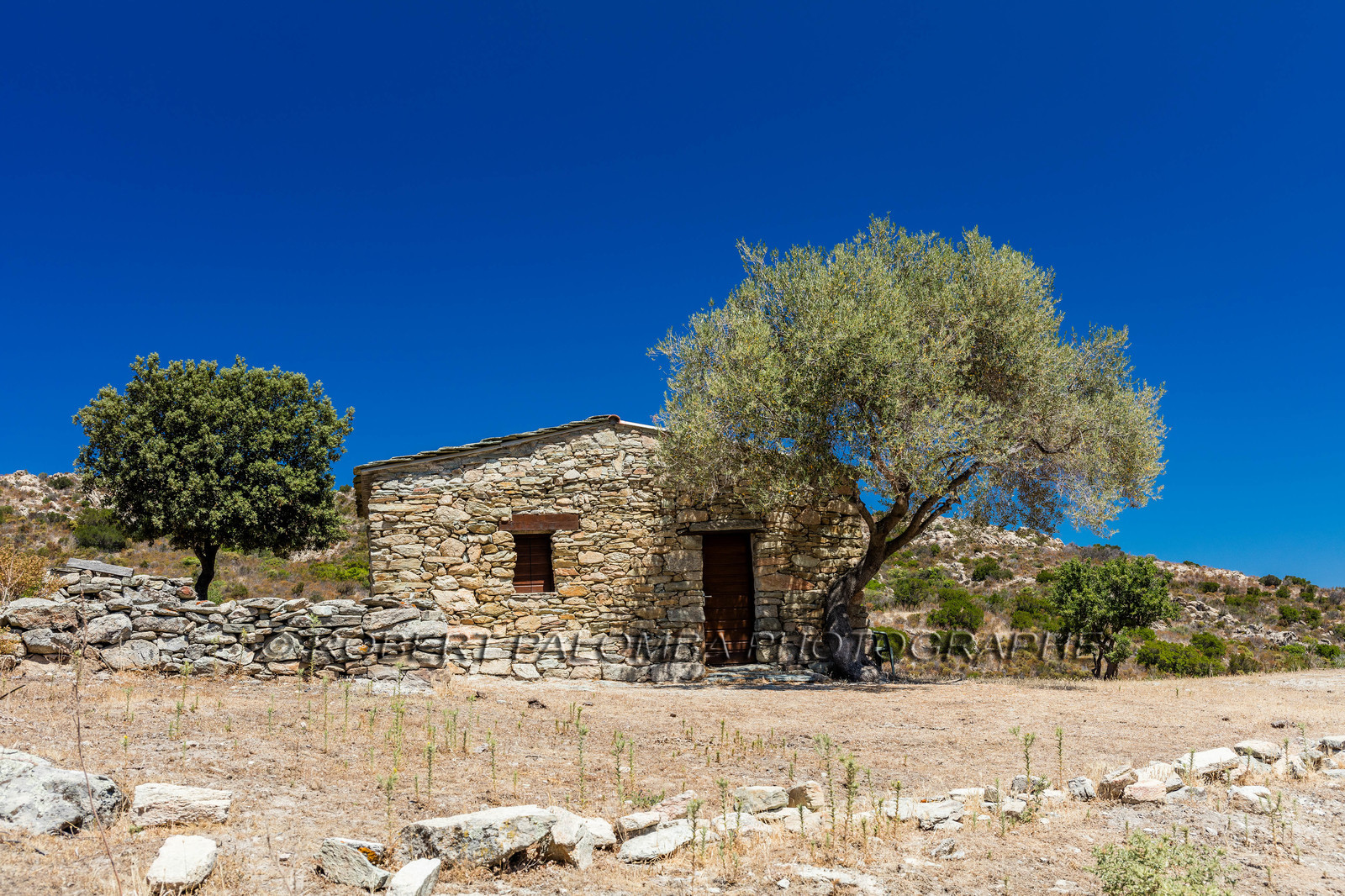 Désert des Agriates