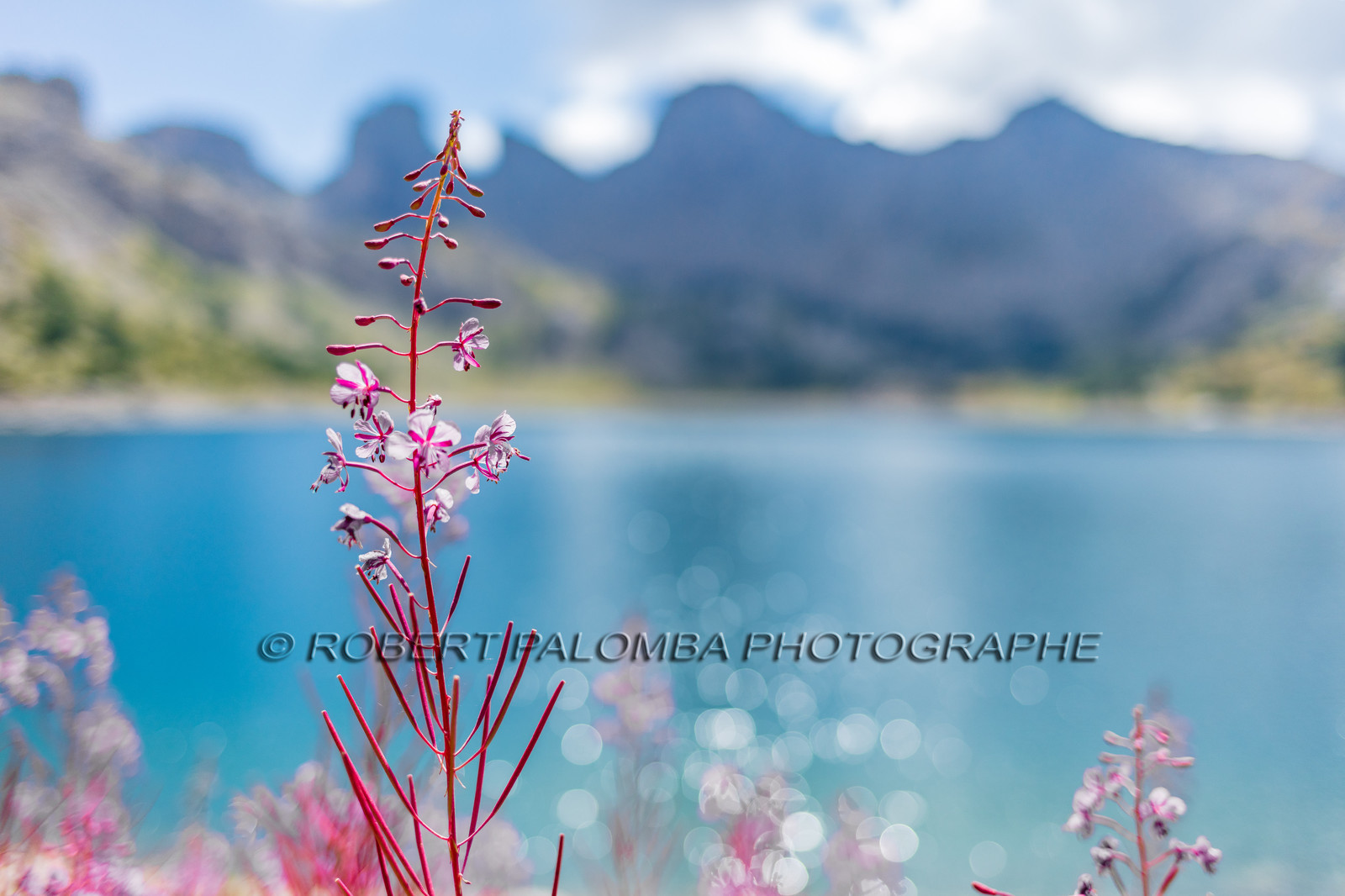 Lac d'Allos