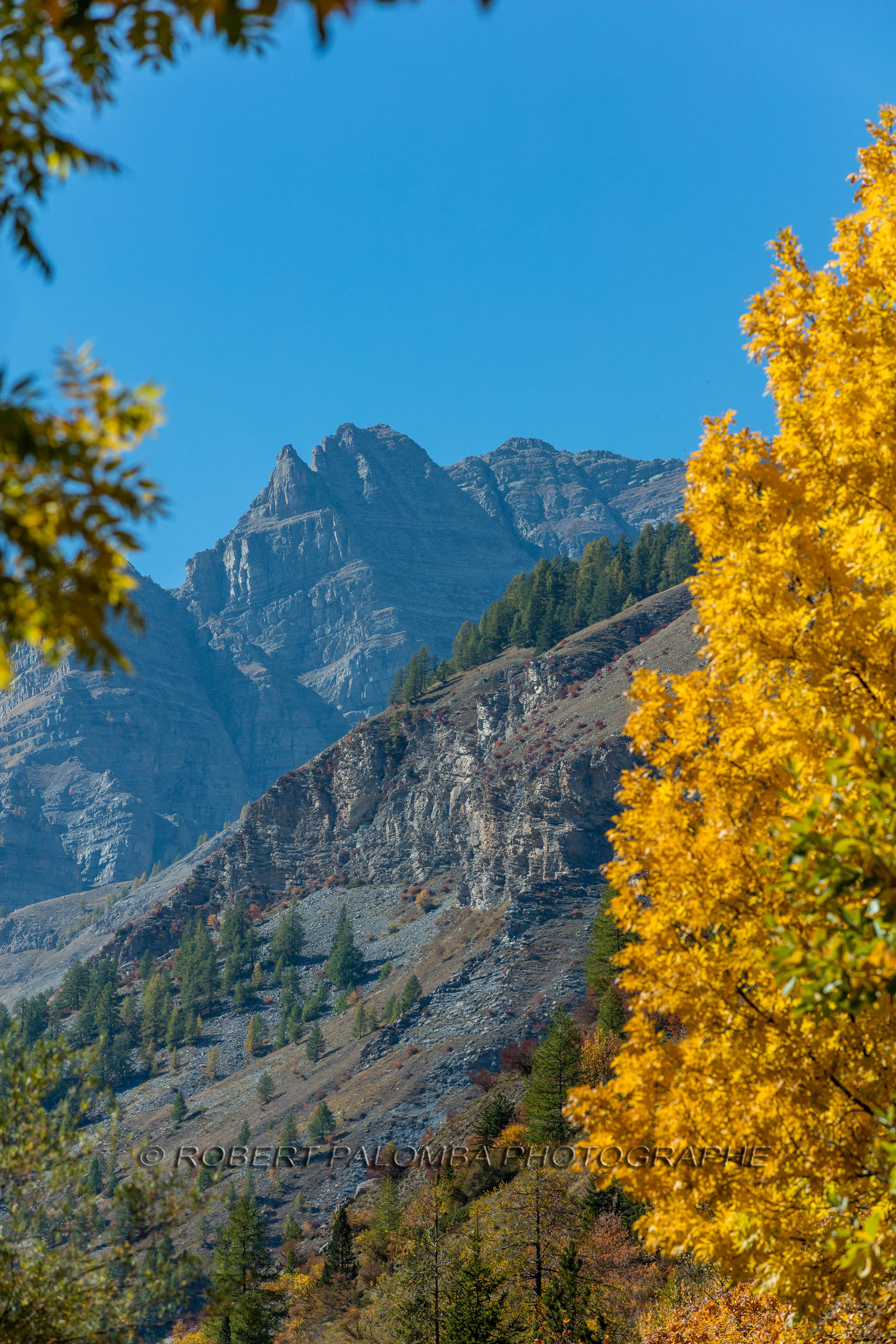 Saint-Dalmas-le-Selvage
