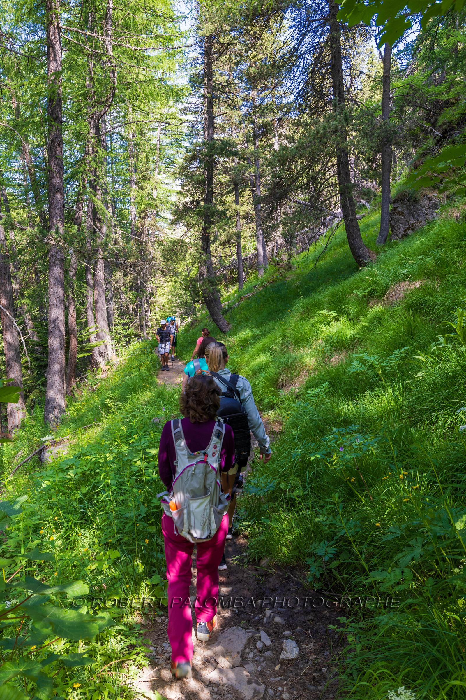 Cascade du Chadoulin