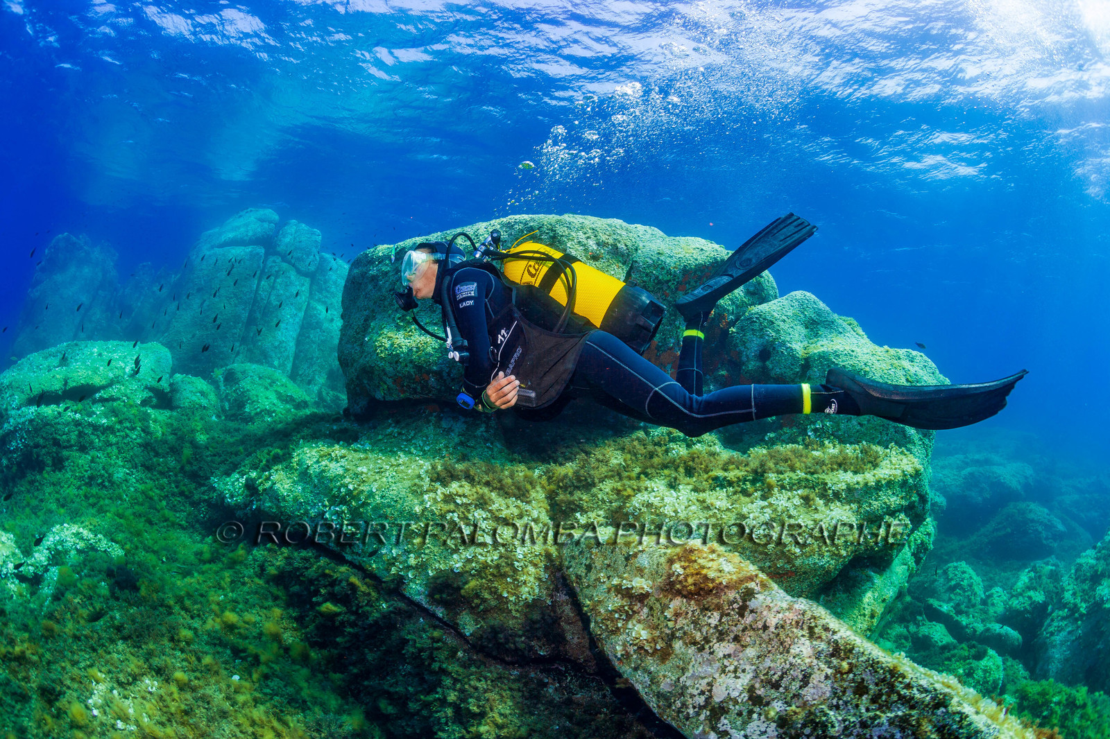 Plongée-sous-marine